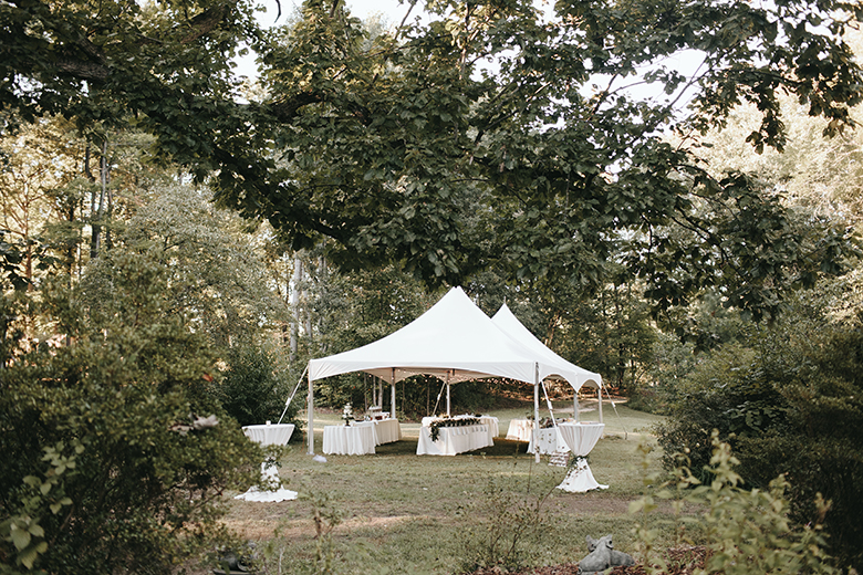 north carolina backyard wedding 75.JPG