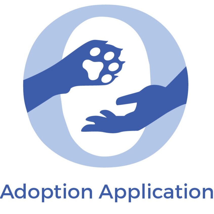 Adopt — Ollie's Angels Animal Rescue