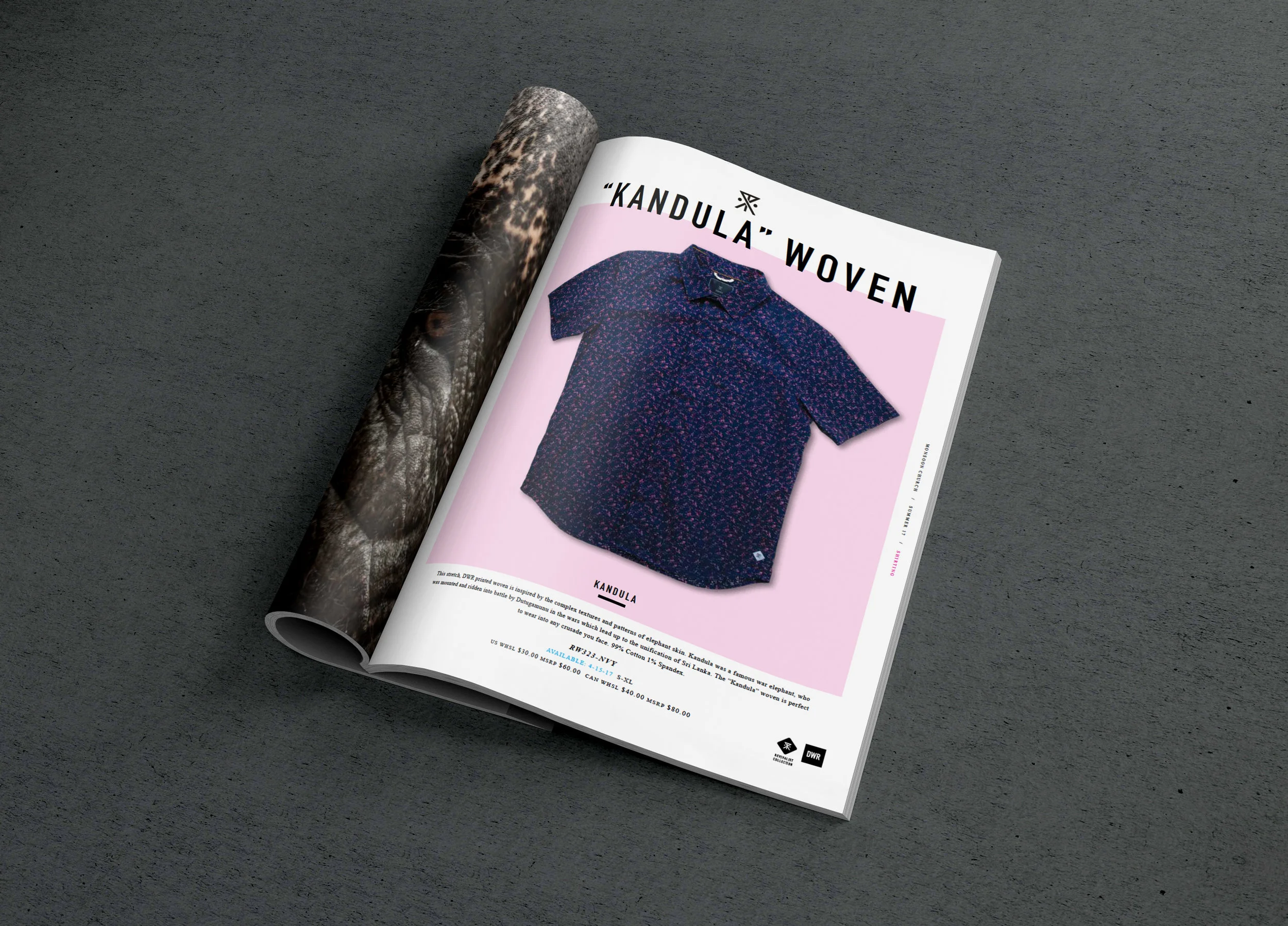 MadelynFoster_Roark_Catalogue.jpg