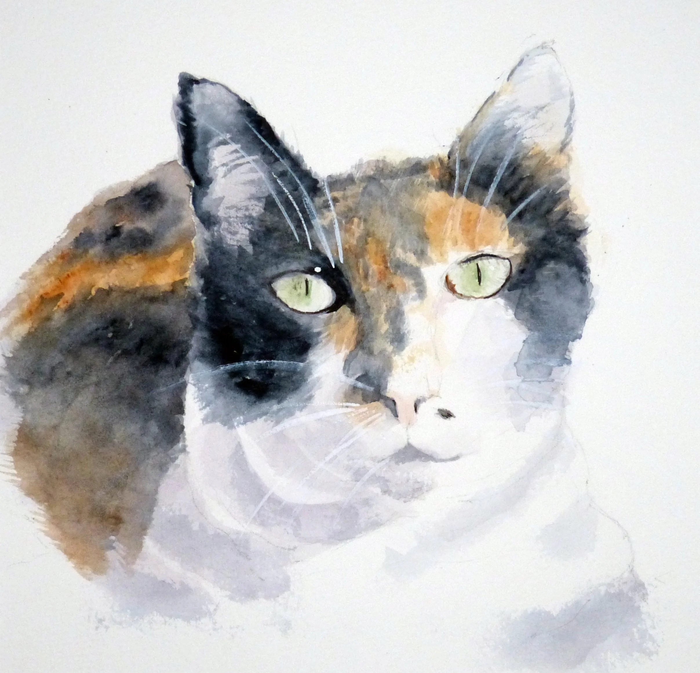 2026-09 Pebbles 01.JPG