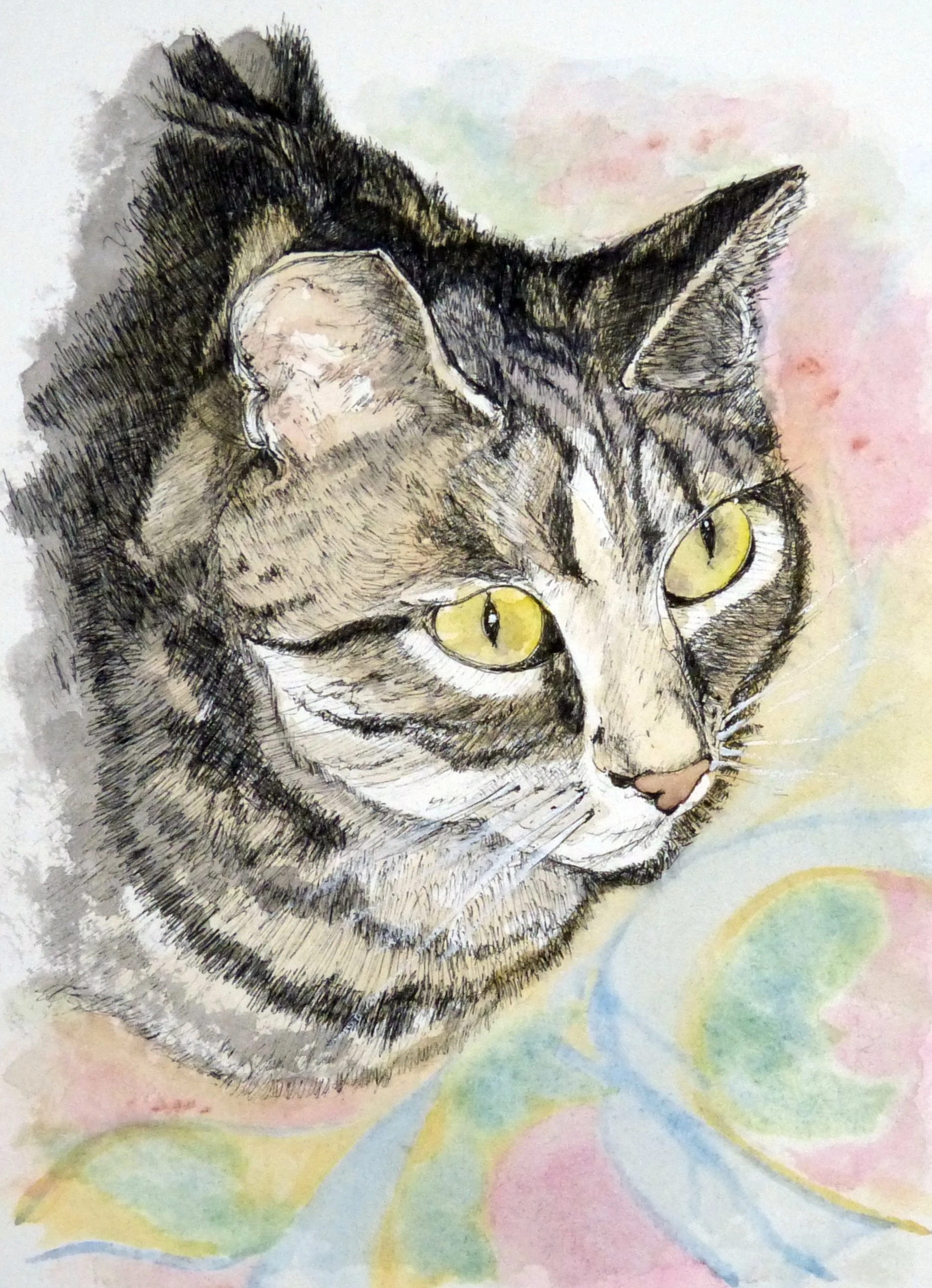 2026-09 Vincent 01.JPG
