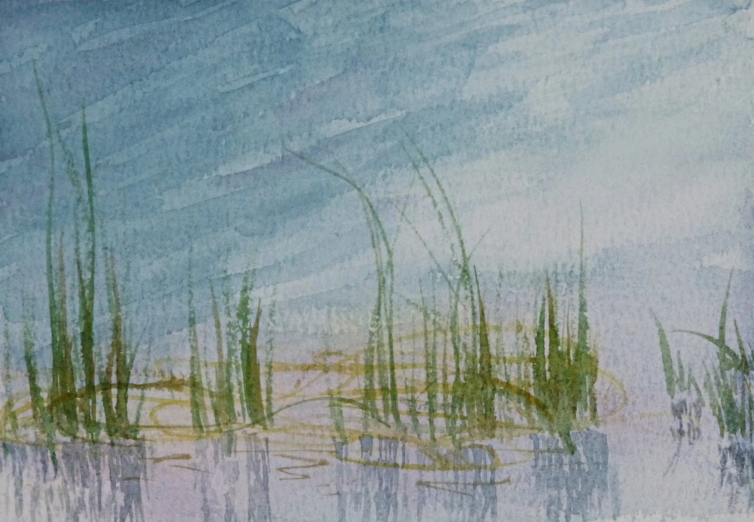 2026-07 Grass Reflections 01.JPG