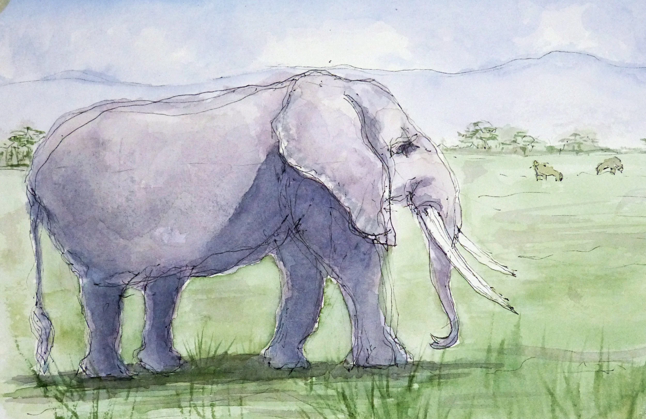 2026-07 Elephant 02.JPG