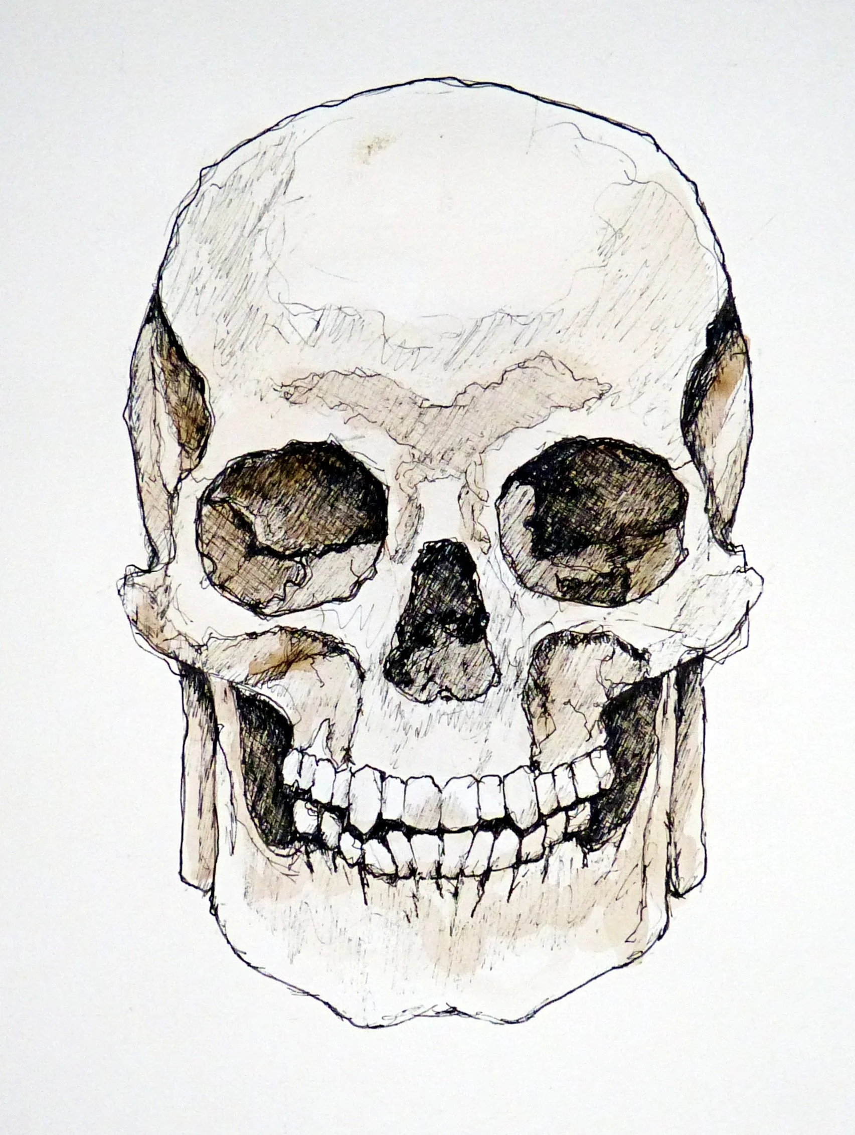2026-10 Skull 02.JPG