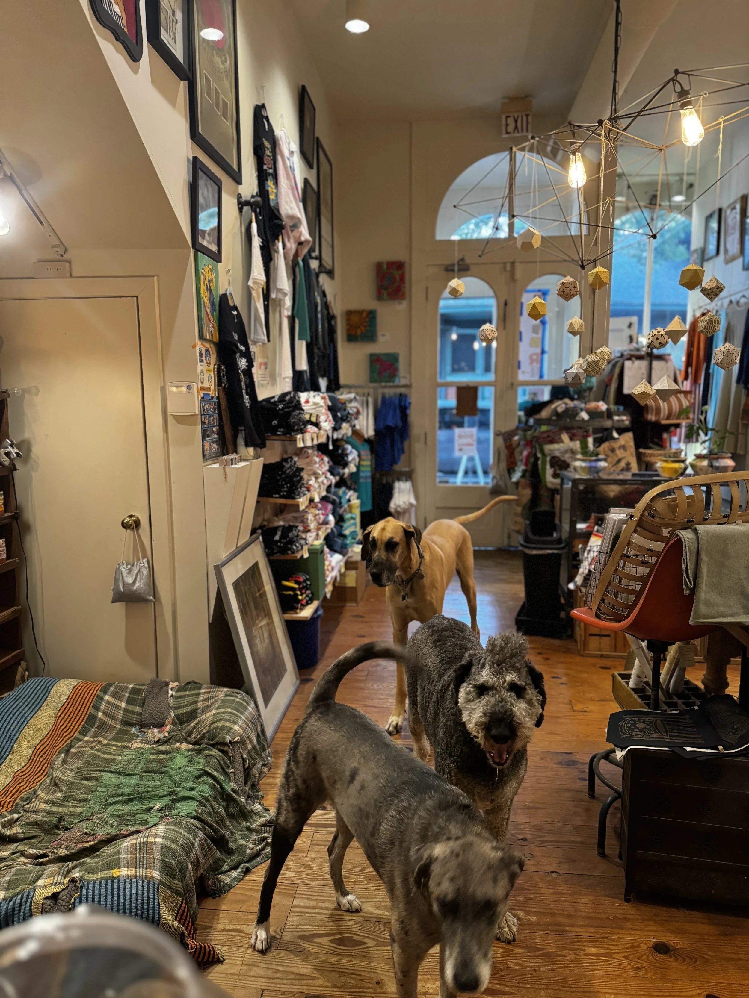 Zeus Otis Lola shop.jpg
