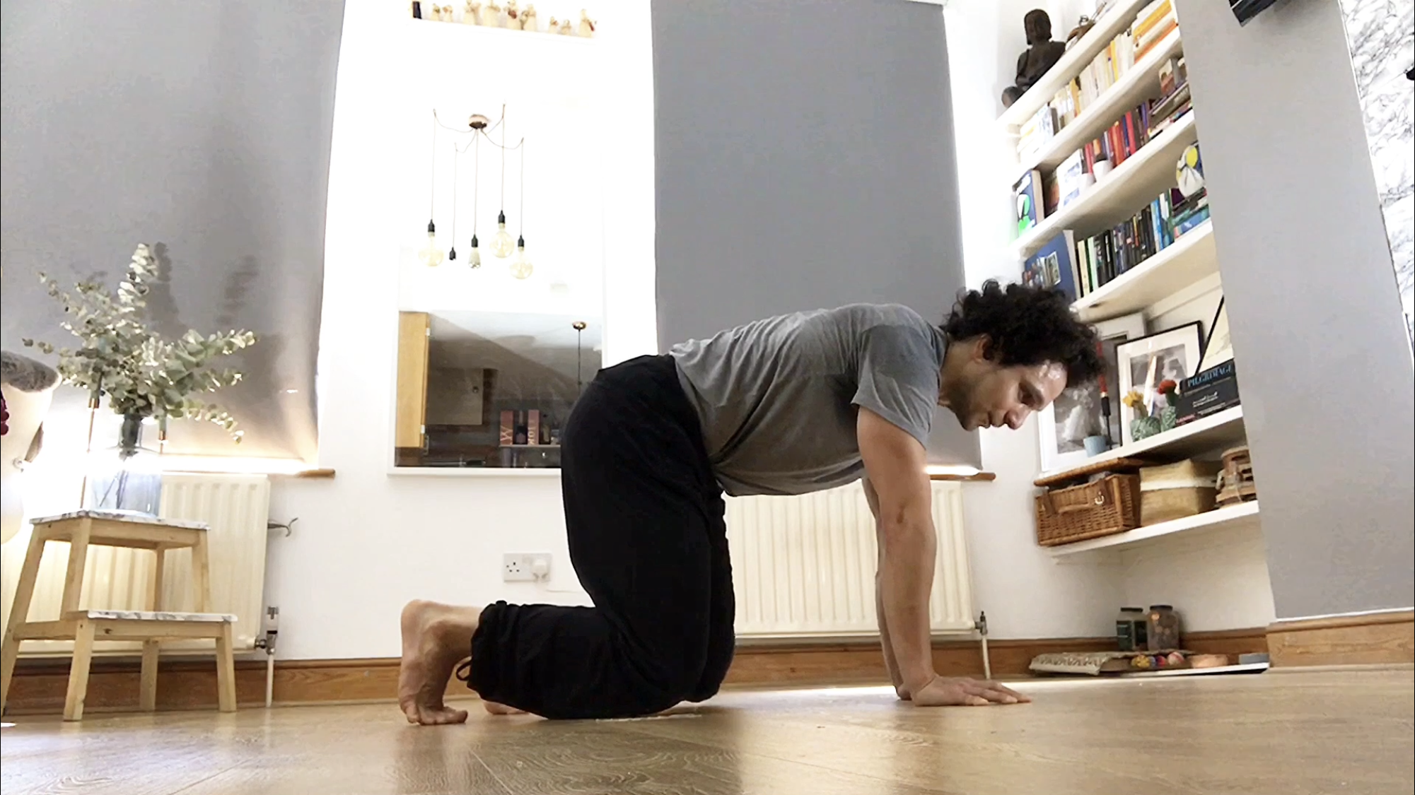 'Cat' / Table Top Plank