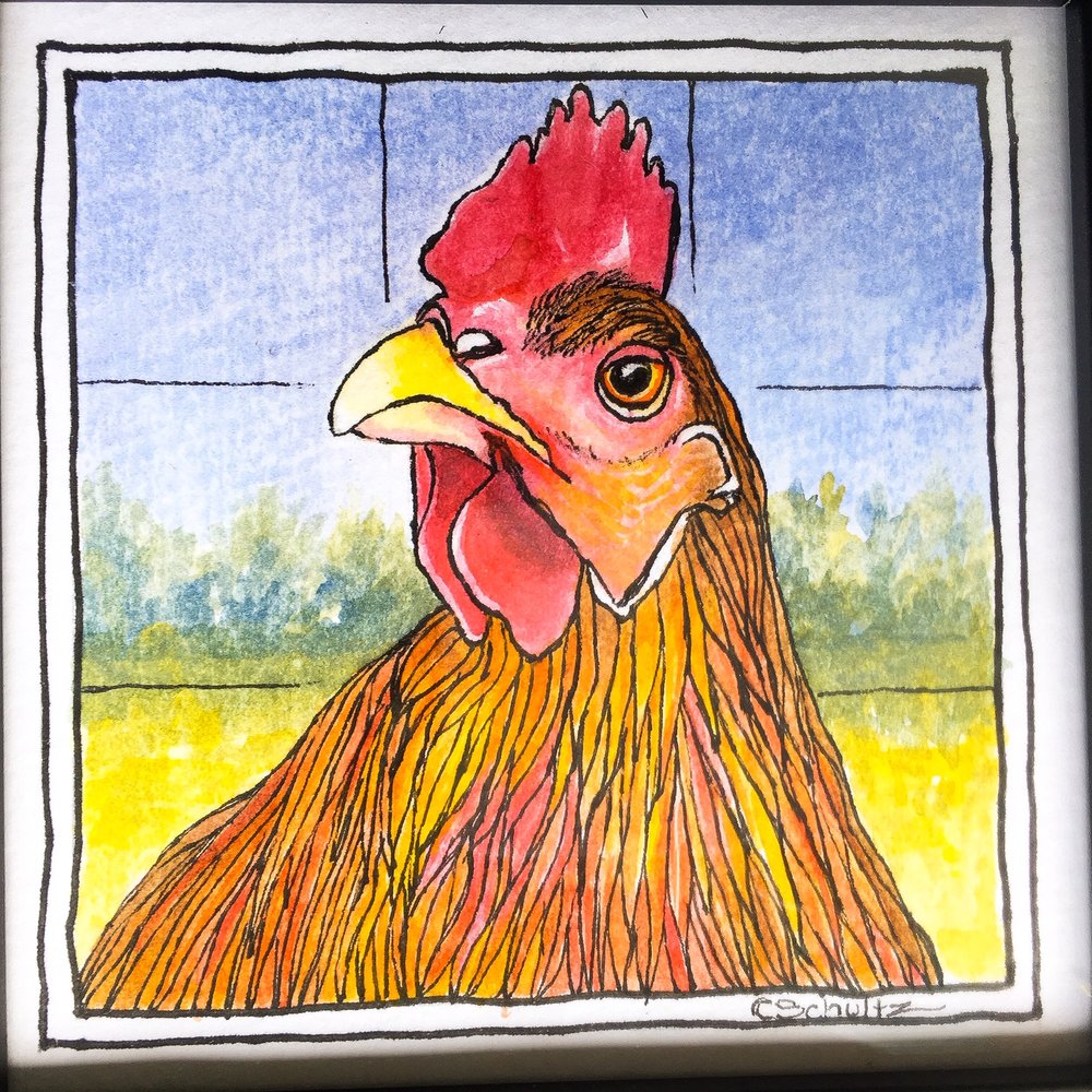 Rooster Fun Acrylic on Watercolor Paper Painting
