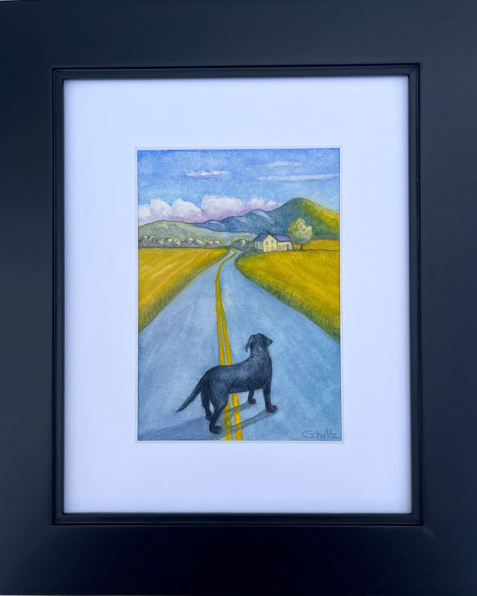 C311D9DA-F247-447F-8315-485B79CF064D