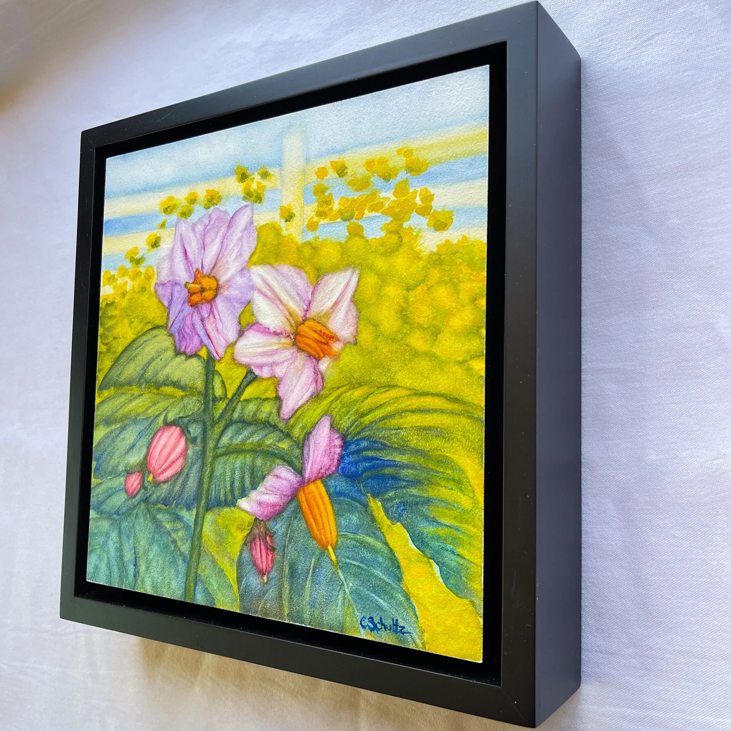 47694764-D1CB-42E0-8E8F-96EF744912F8