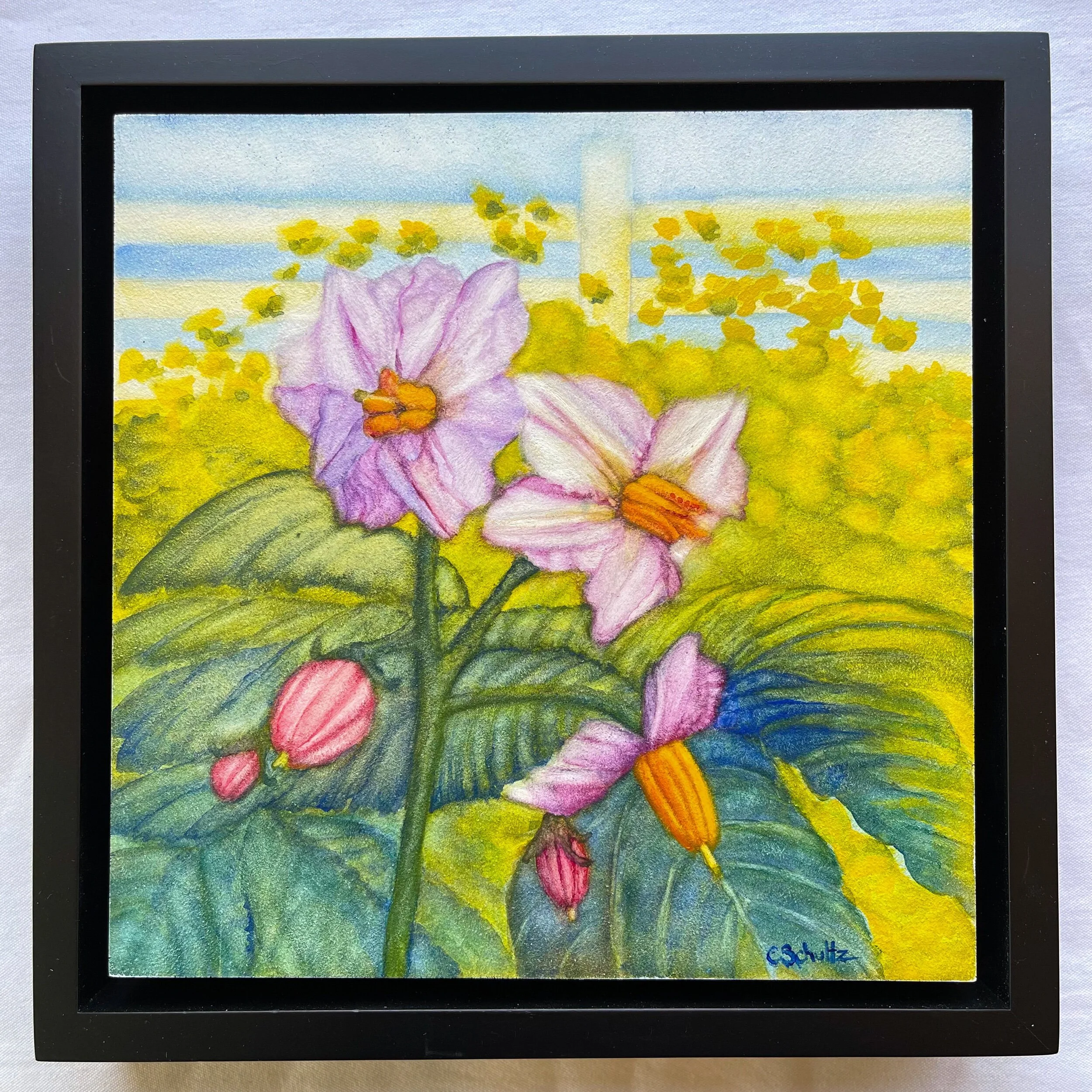 06C00537-1207-4AE7-BC47-204381B0B0CC