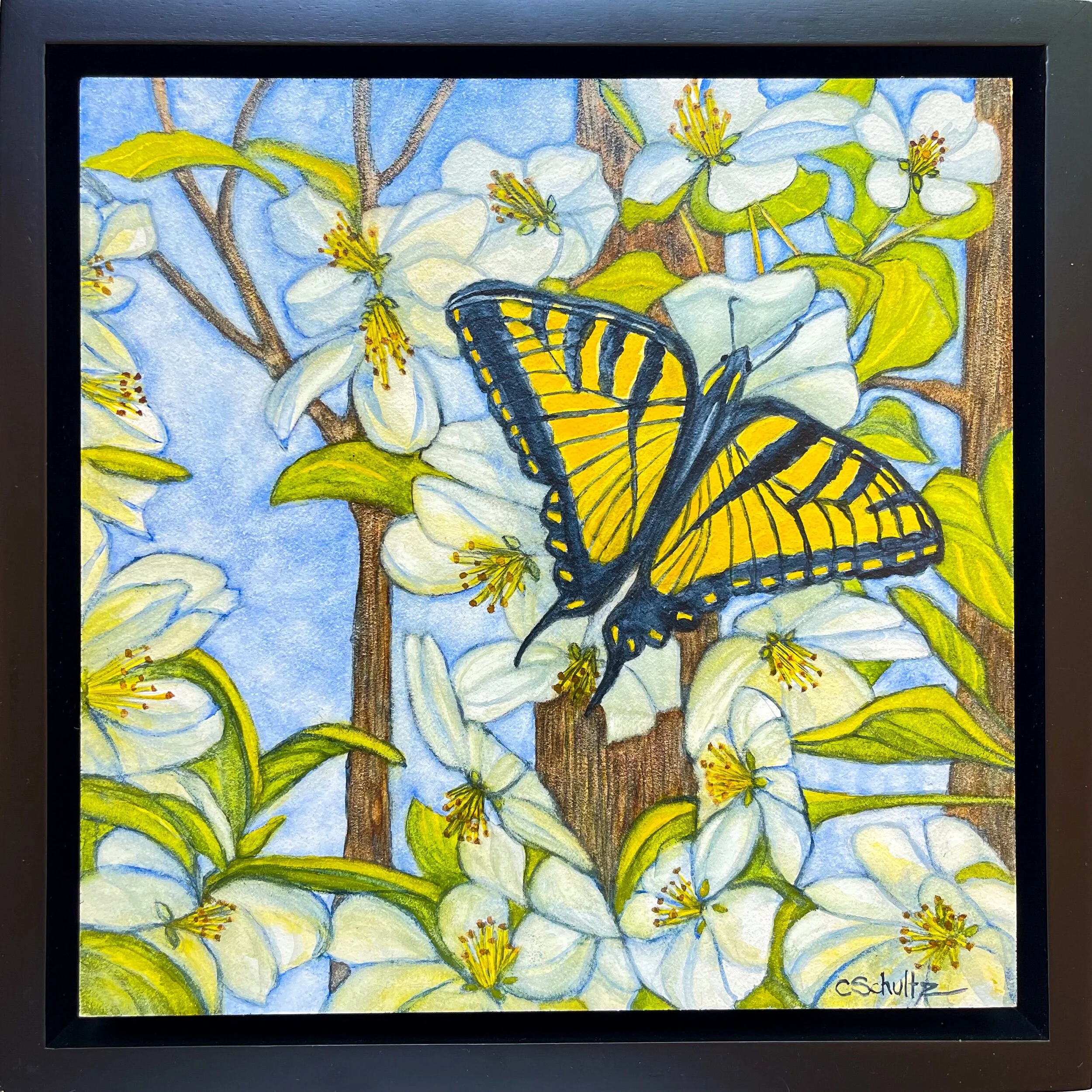 F052182D-FBB9-4B5C-810D-D78408D3549B