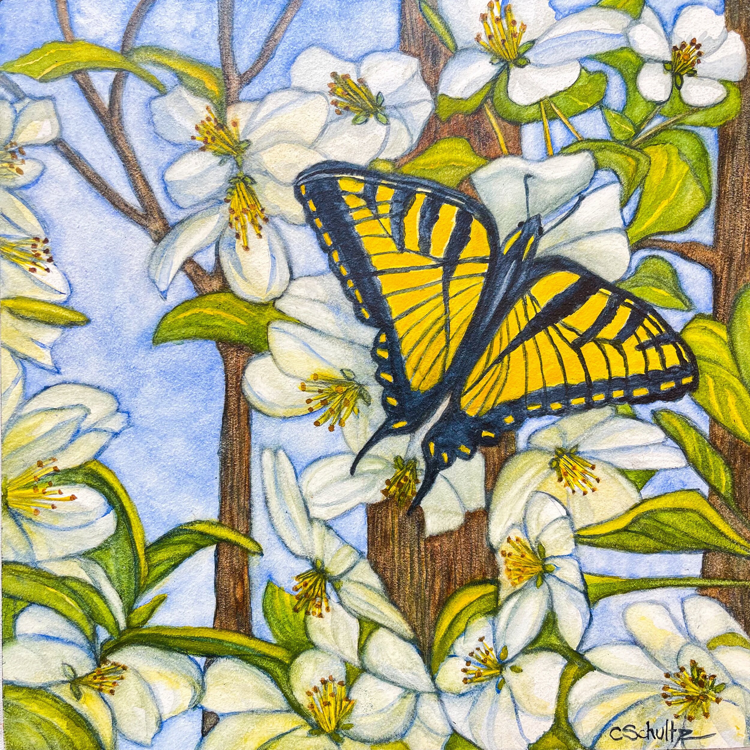 64A7B305-A072-440E-A268-41CCCD5DEA2B