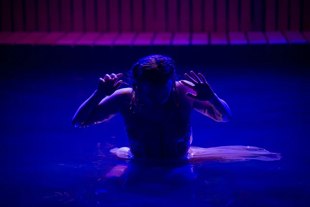 Metamorphoses, 2016-17