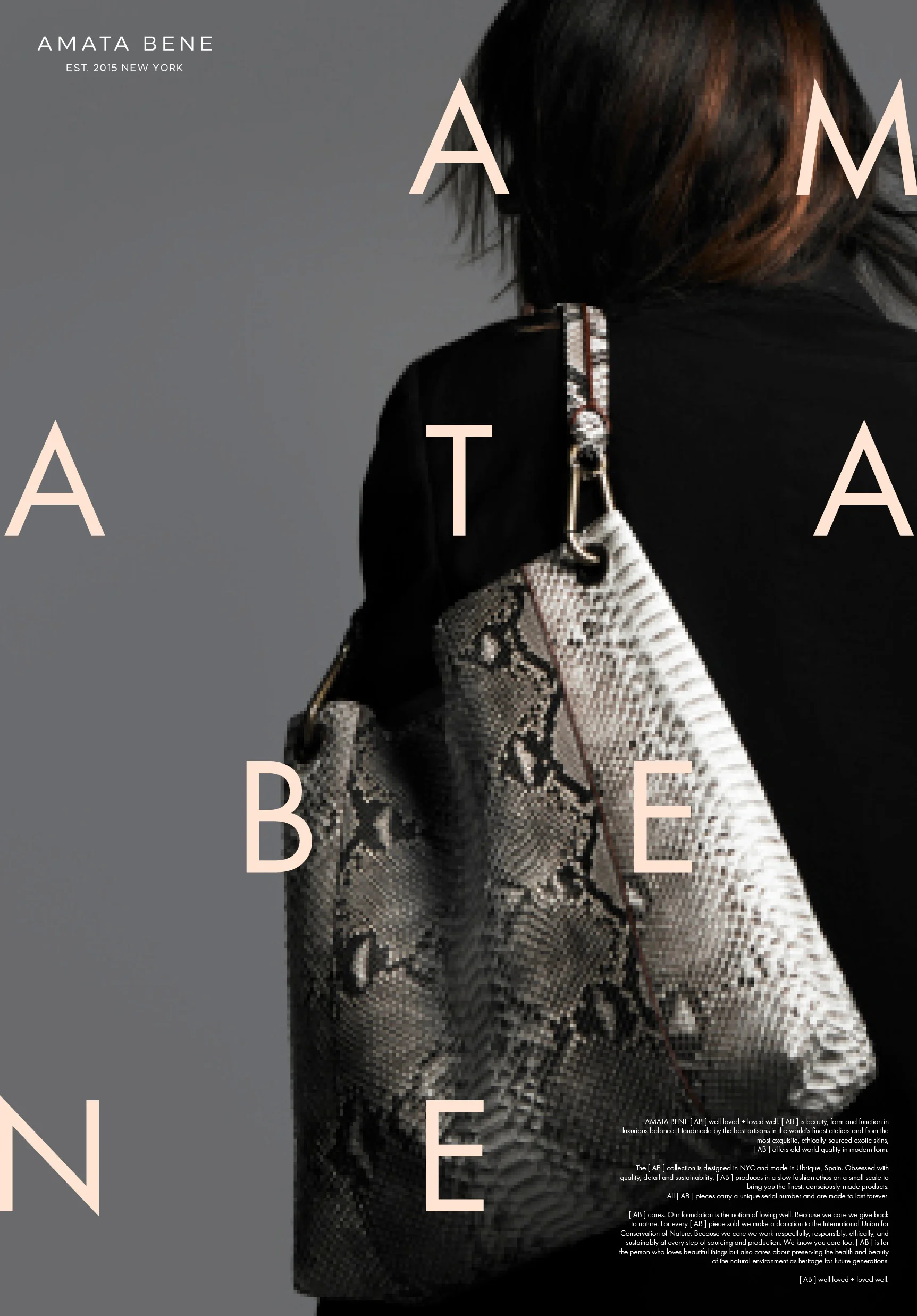 AMATA_BENE_Poster2.jpg
