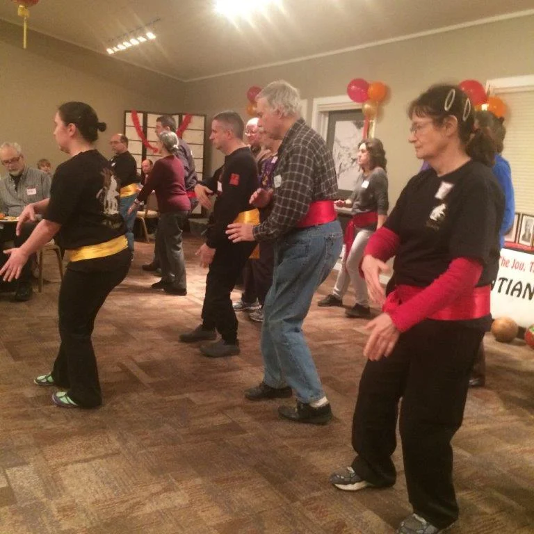 Wudangshan Taiji cohort starting first section. Feb 2016