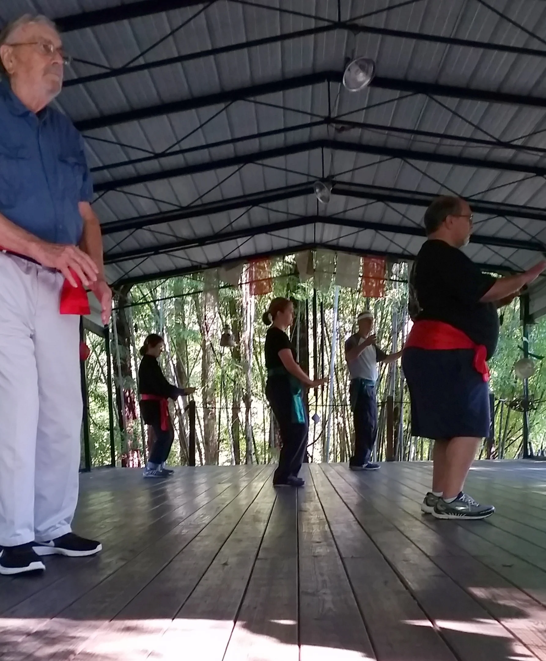 Taiji forms, Liehubafa, and Beginning Weapons
