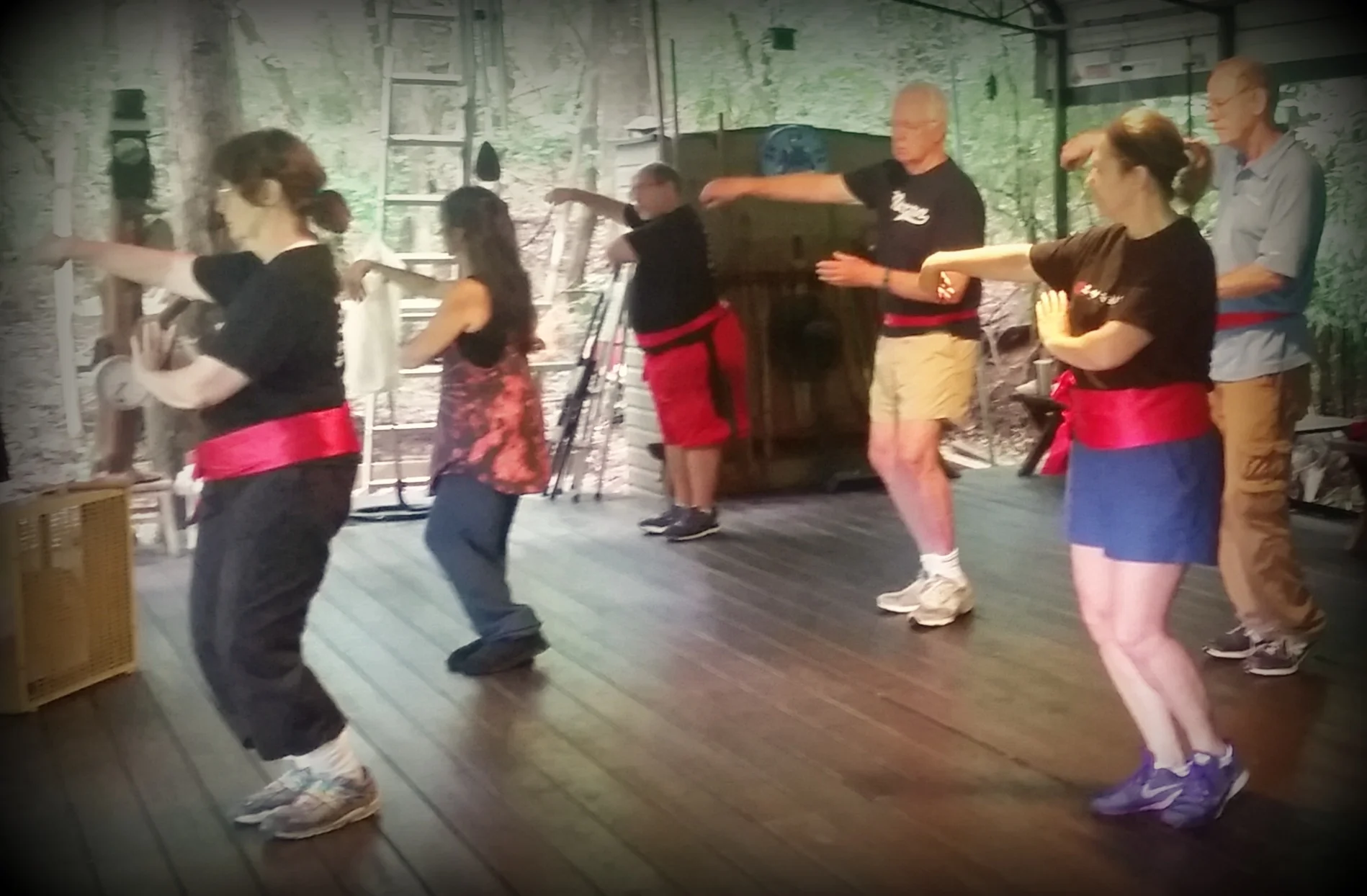Taiji Form and Weapons Seminar