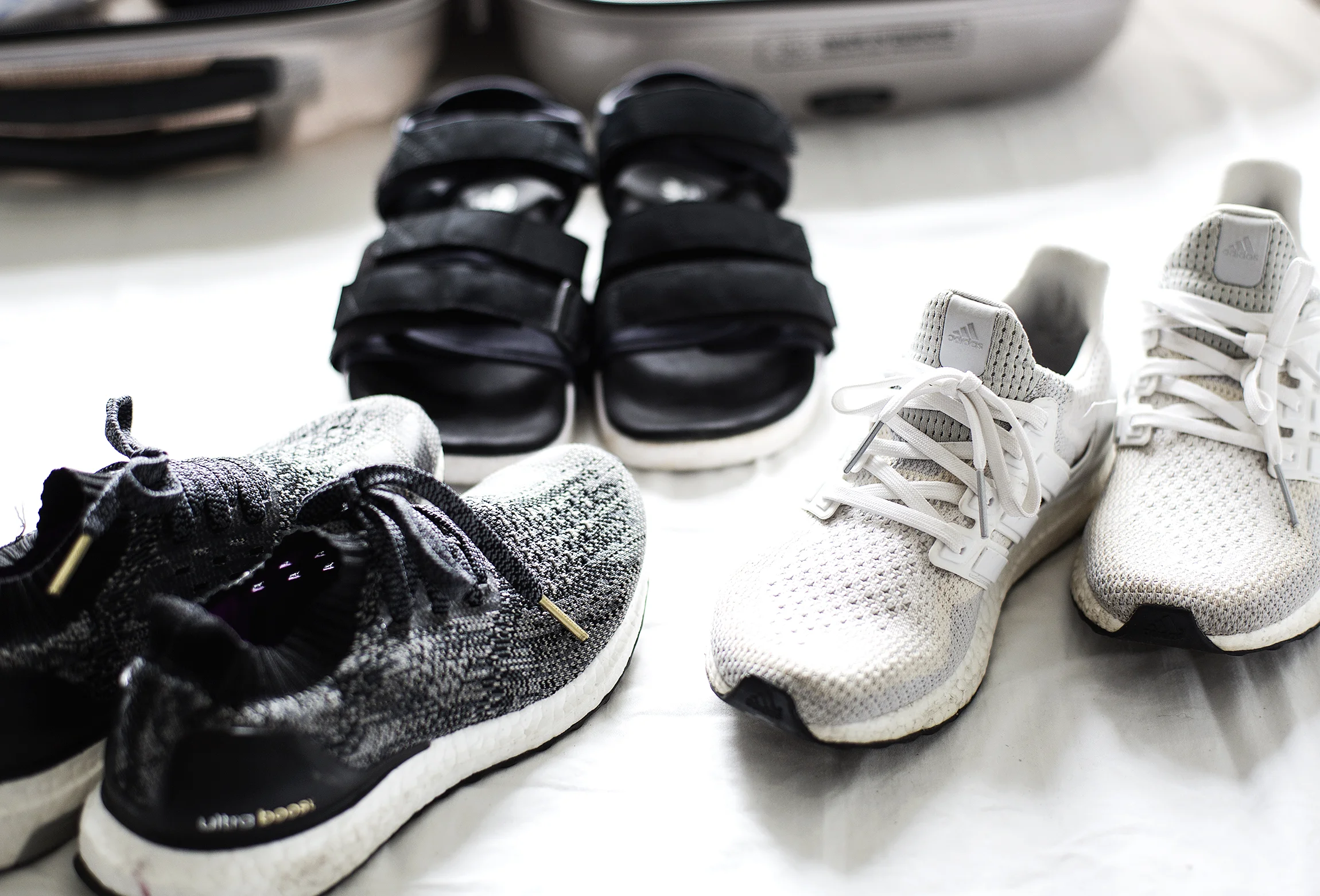 adidas.jpeg