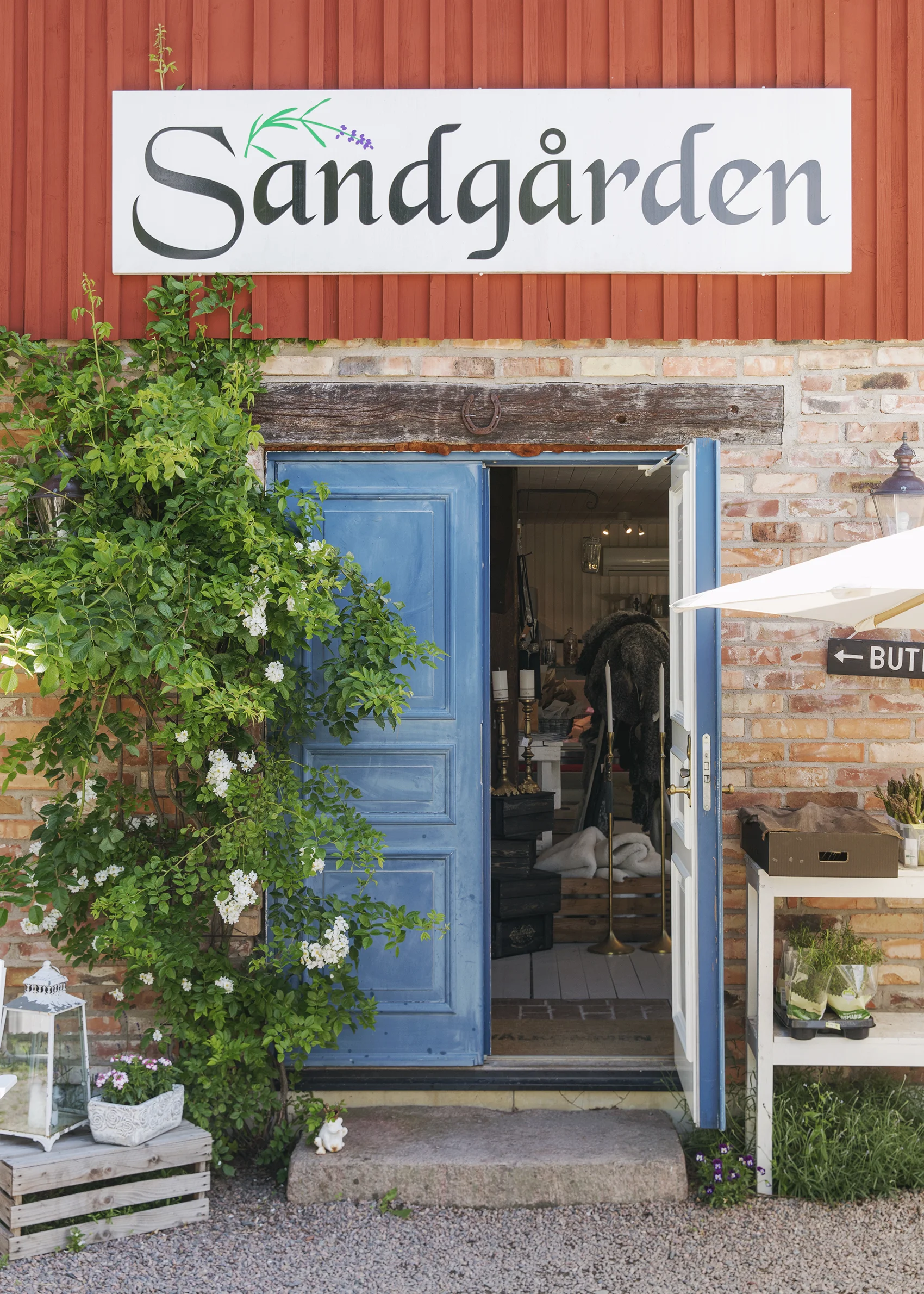 Alona Vibe photographer Skåne