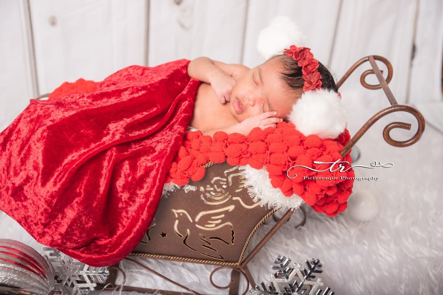 'Twas the night before Christmas
.
#trpicturesque #photography #photographylovers #baby #babies #babyphotographer #newbornphotographer #newbornphotography #newborn #newbornsession #newbornphotos #newbornposing #bestnewbornphotos #photographyprops #ba