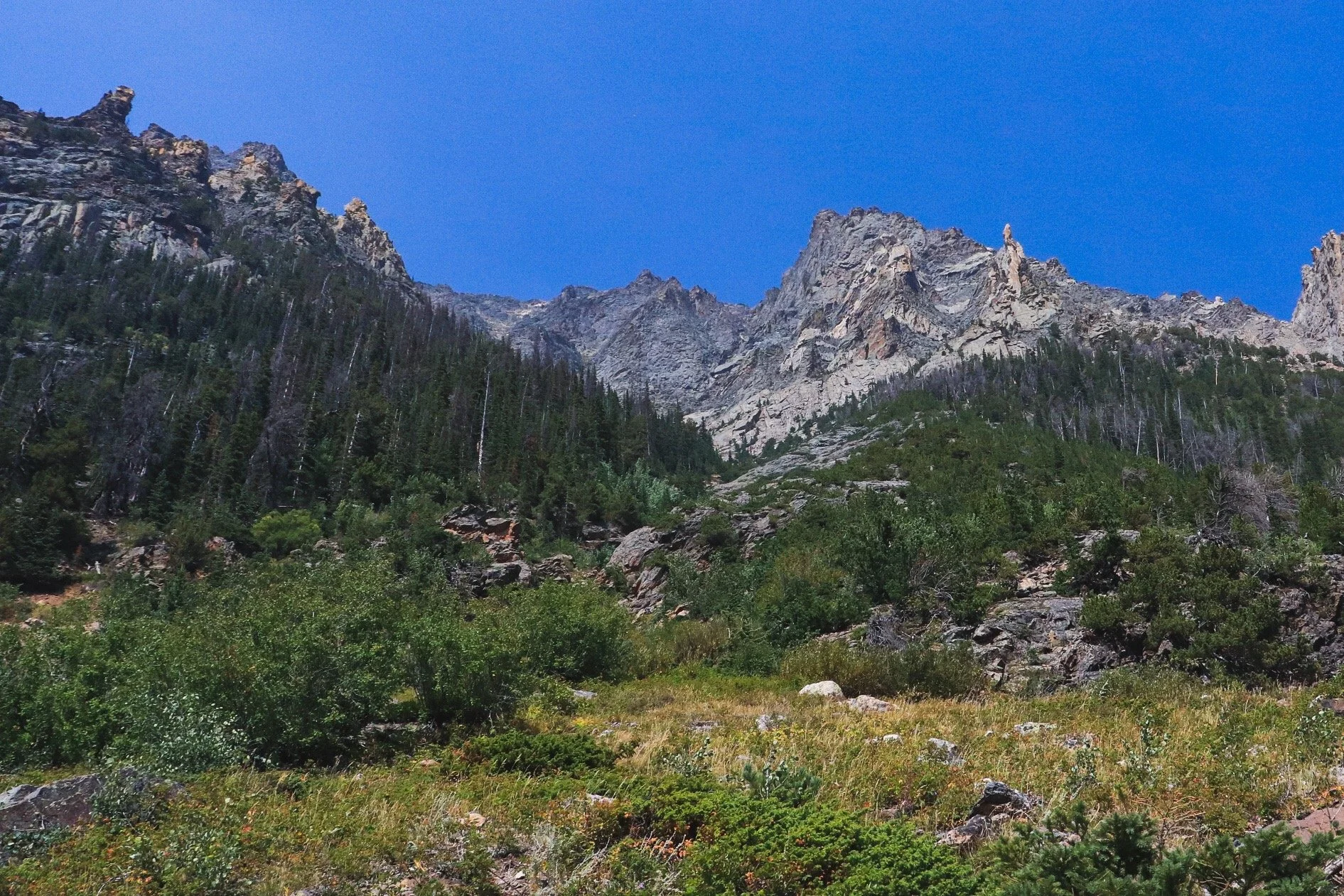 95FAEA09-9E87-4AFB-9330-133B9CE48952 2.JPEG