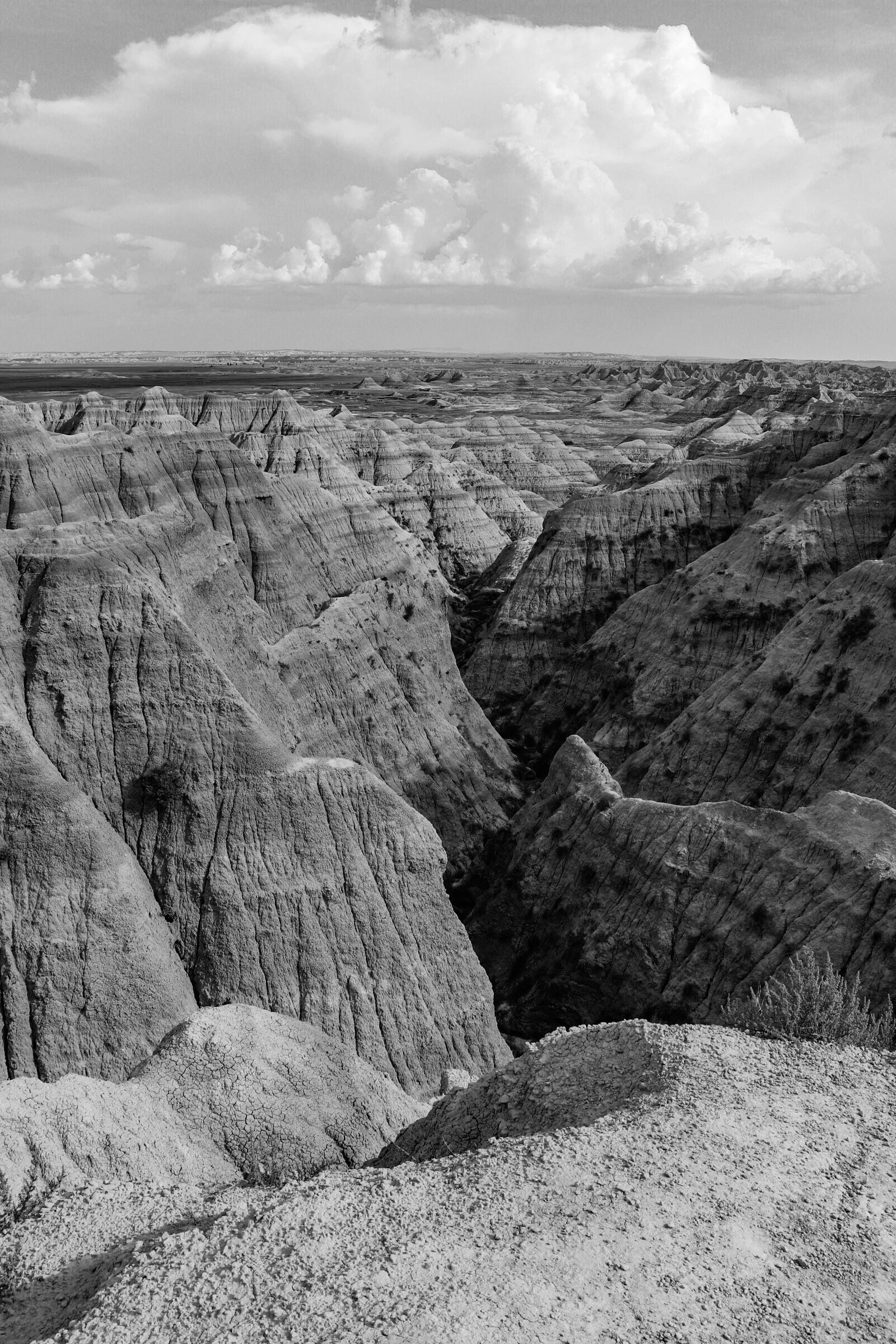 36A6934B-7956-4629-8FDF-0C479F1E88FB 2.JPEG