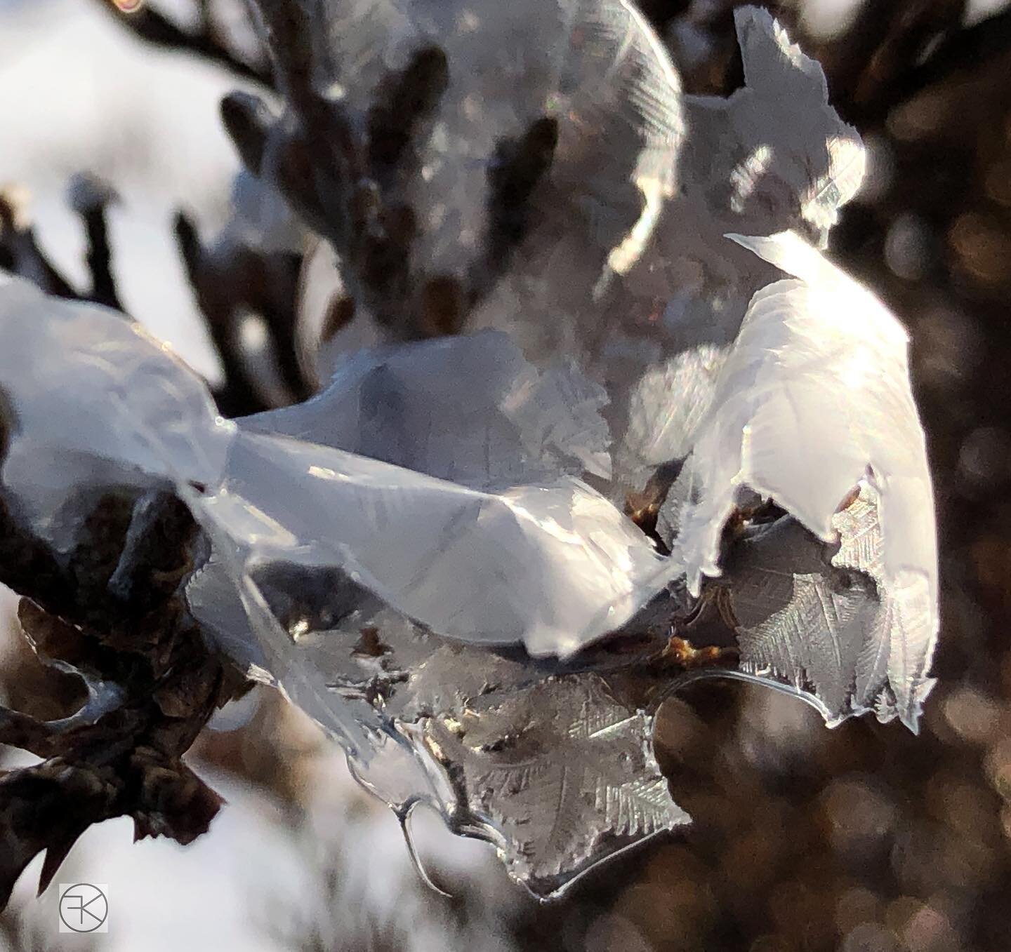 Frozen morning. #icecrystals #ruralnortheasternnevada