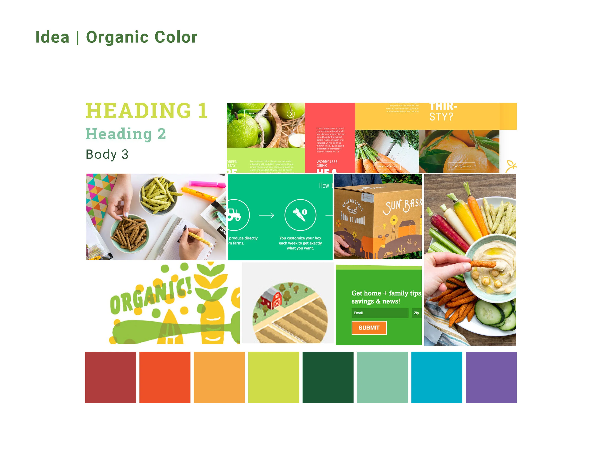 Harvest Snaps site Design — Jenna Benty
