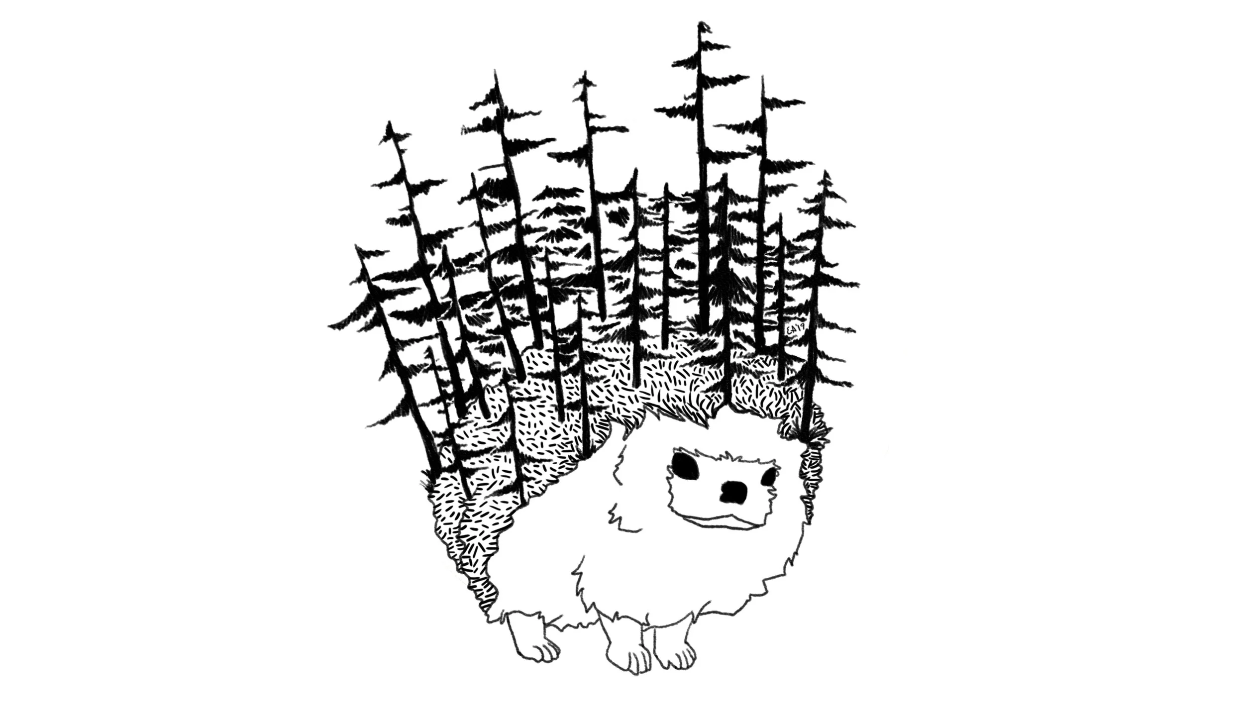 conifer hedgehog - wide.jpg