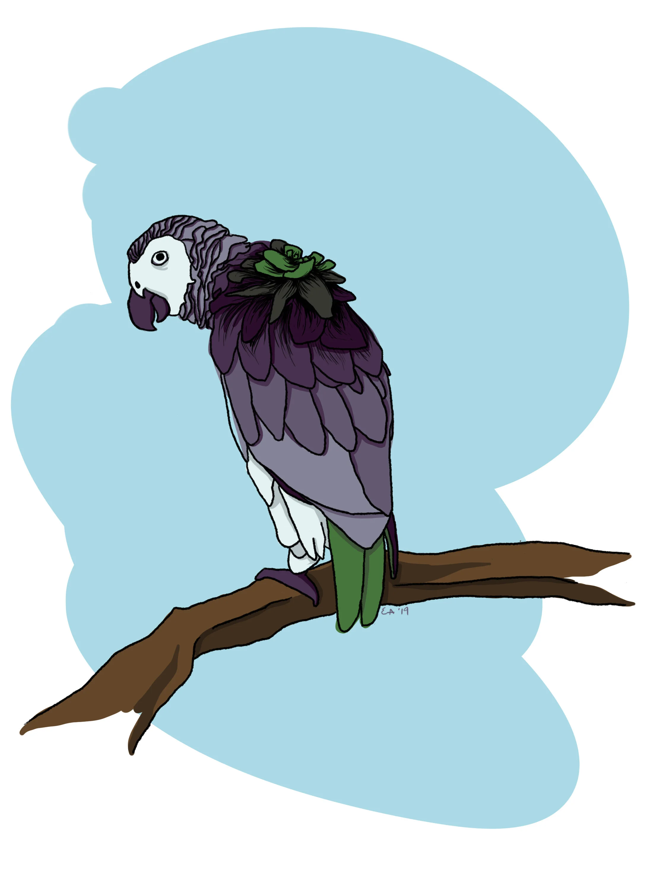 succulent parrot.jpg
