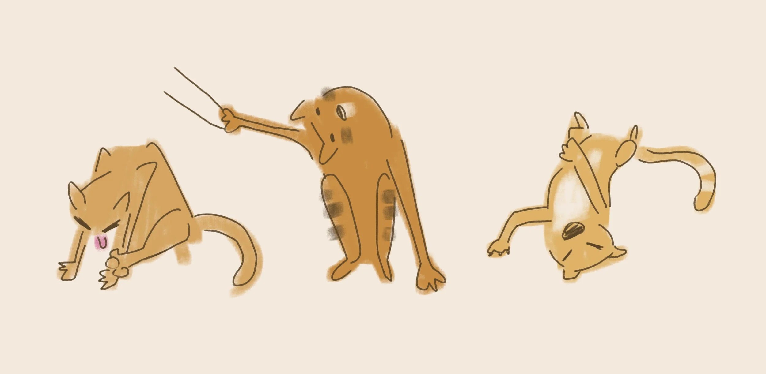 cat moments.jpg