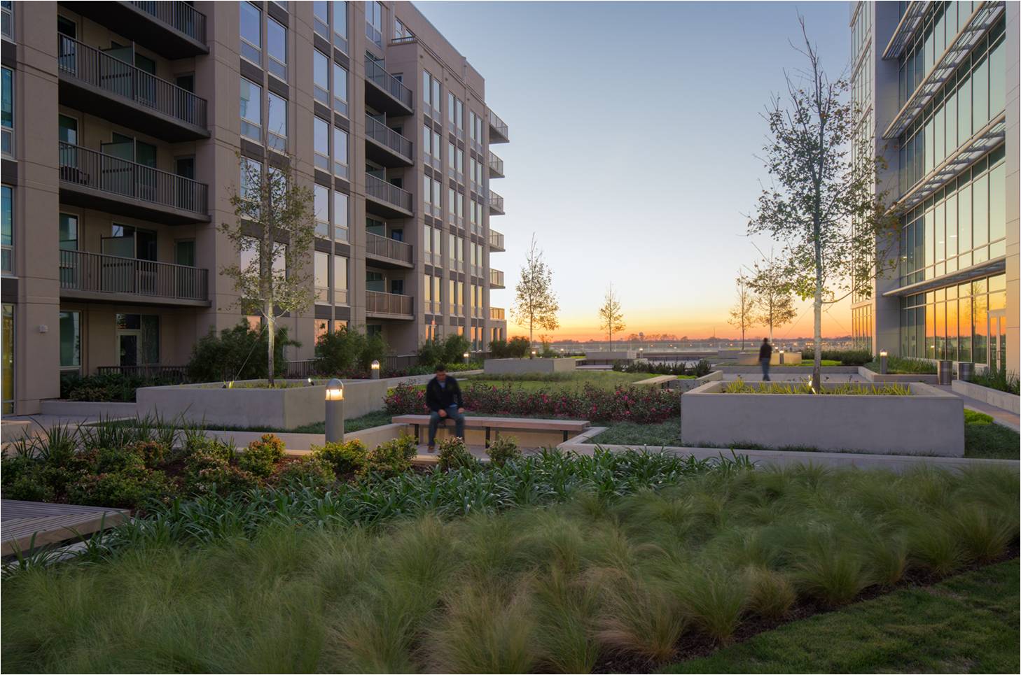 Content Louisiana Chapter Asla