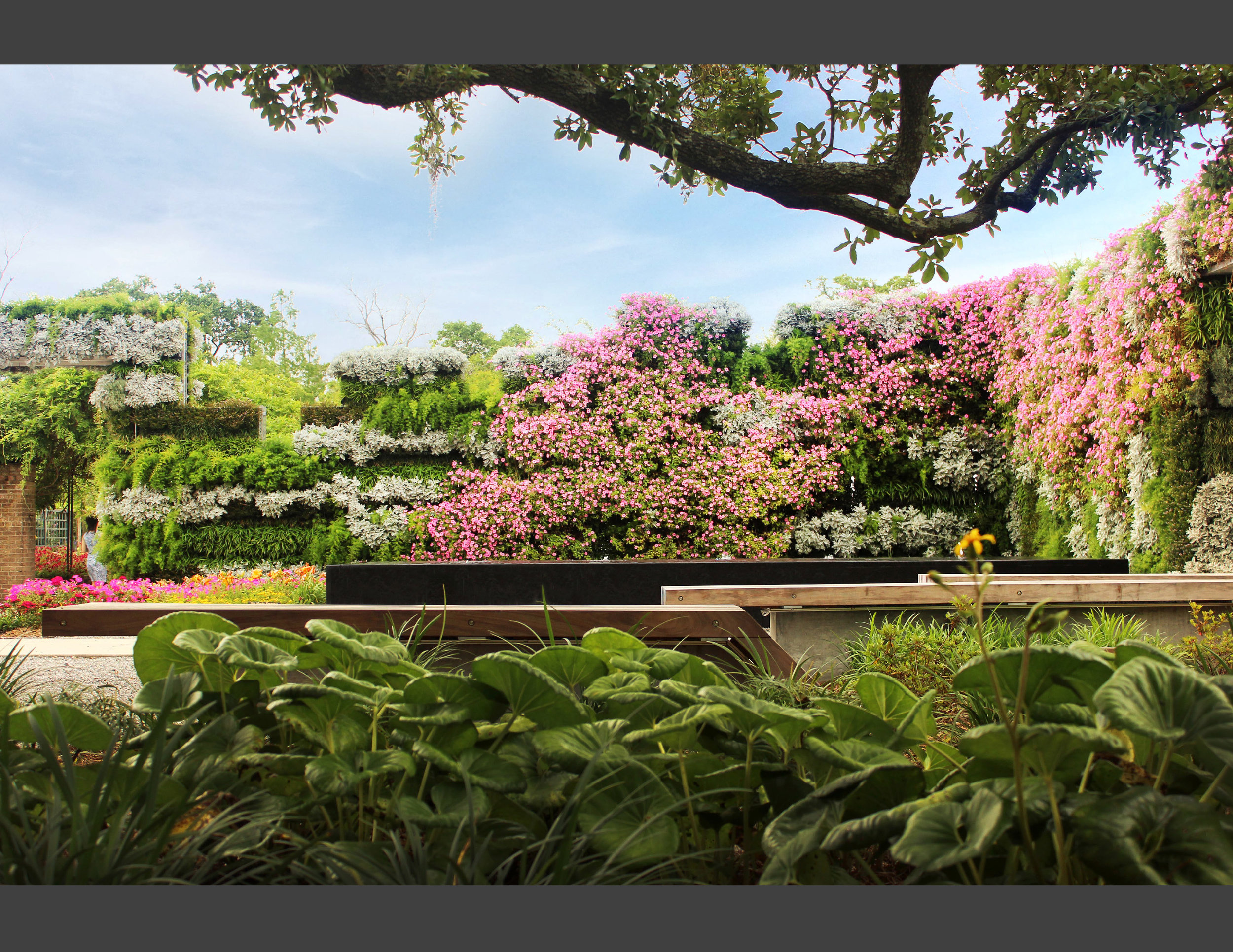 CARBO Landscape - New Orleans Botanical Garden_Page_13.jpg