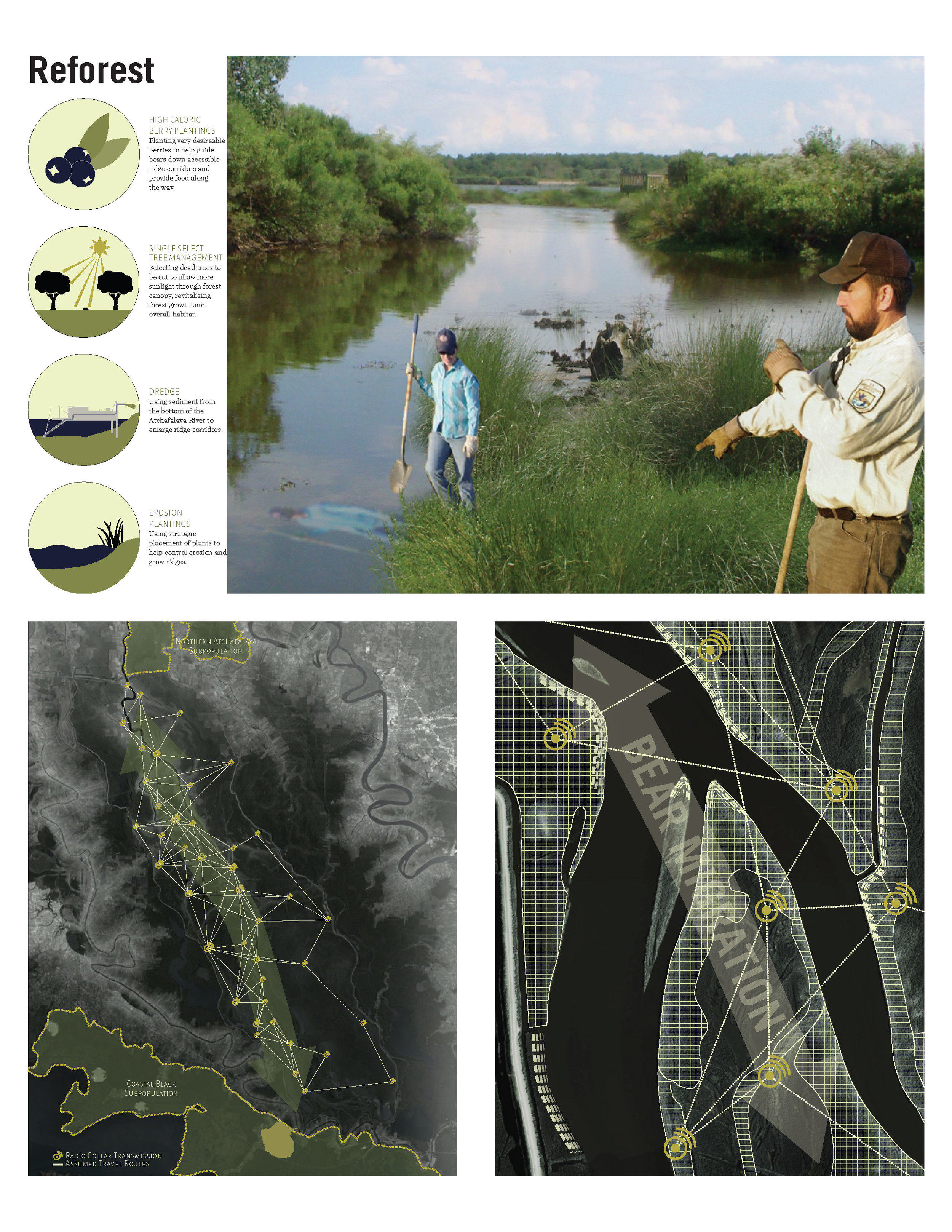 Atchafalaya Bear Authority_Page_07.jpg