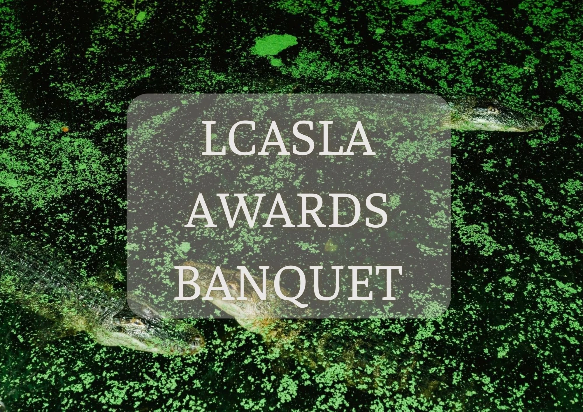 LCASLA MEMBER (5).jpg