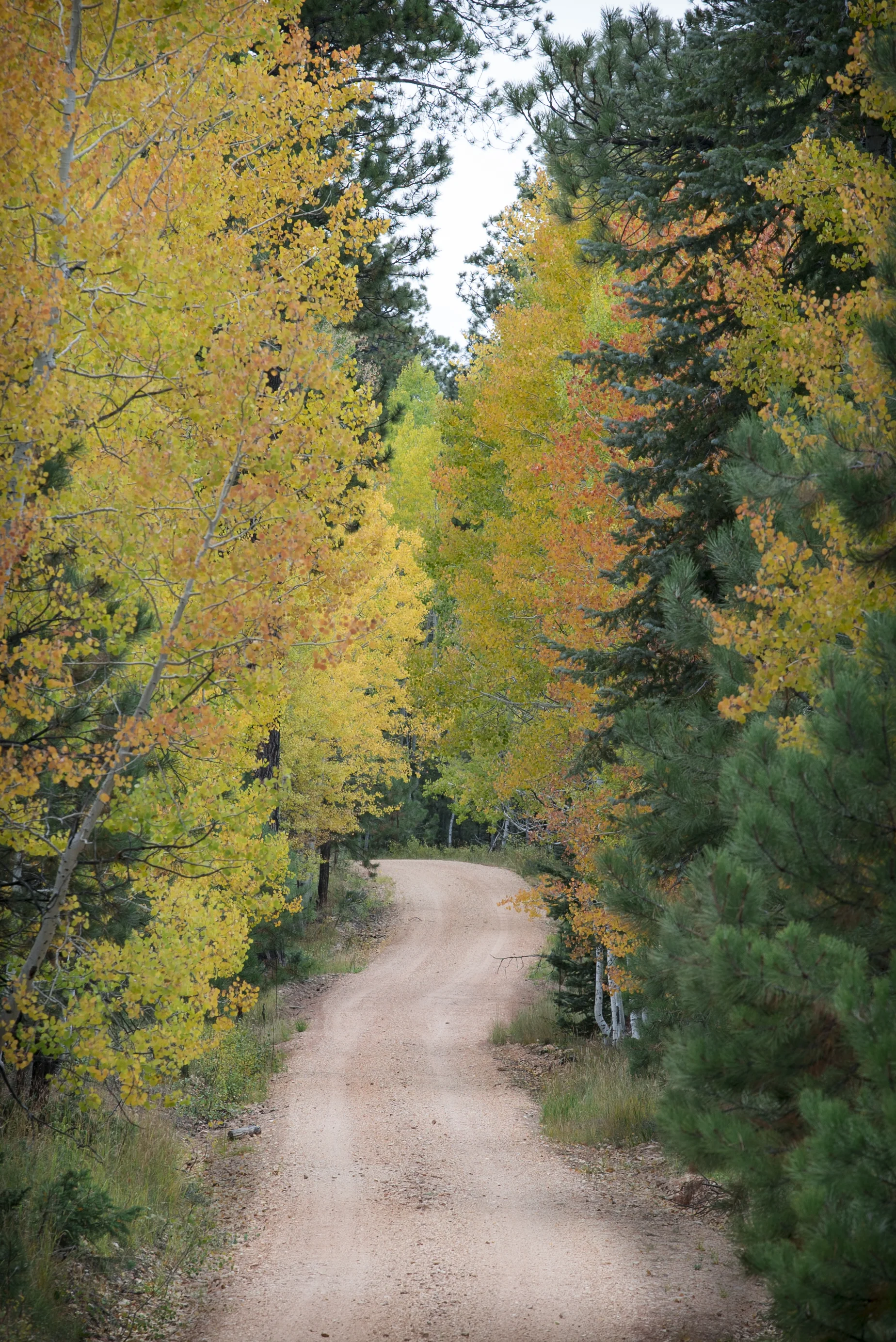 GC_NORTH_RIM_FSR_02.jpg