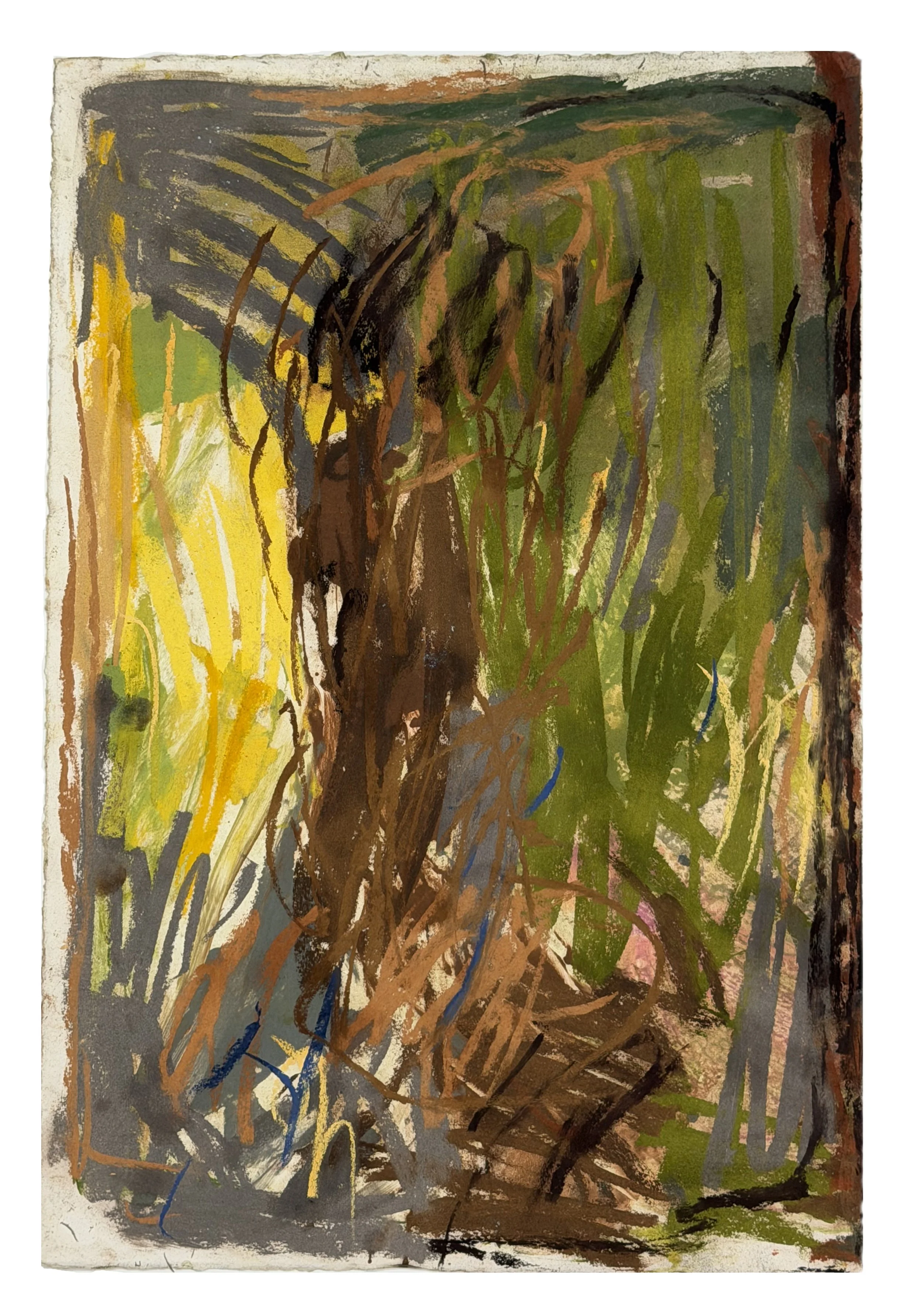 Field Note #1