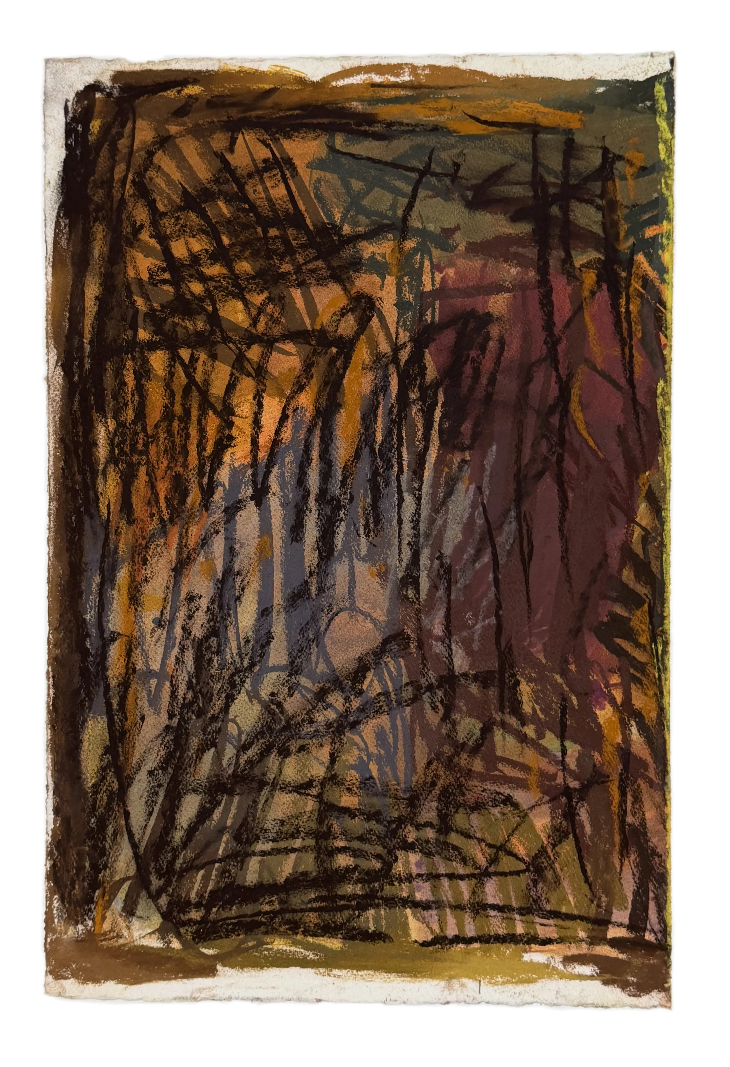 Field Note #4