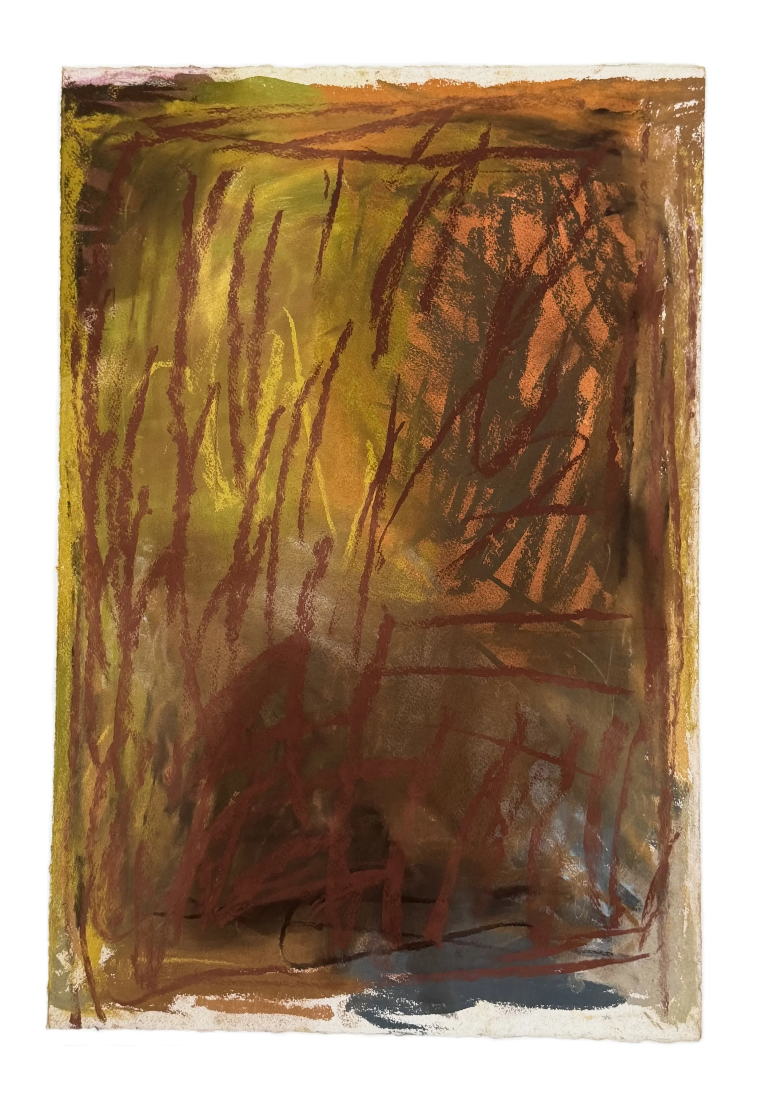 Field Note #6