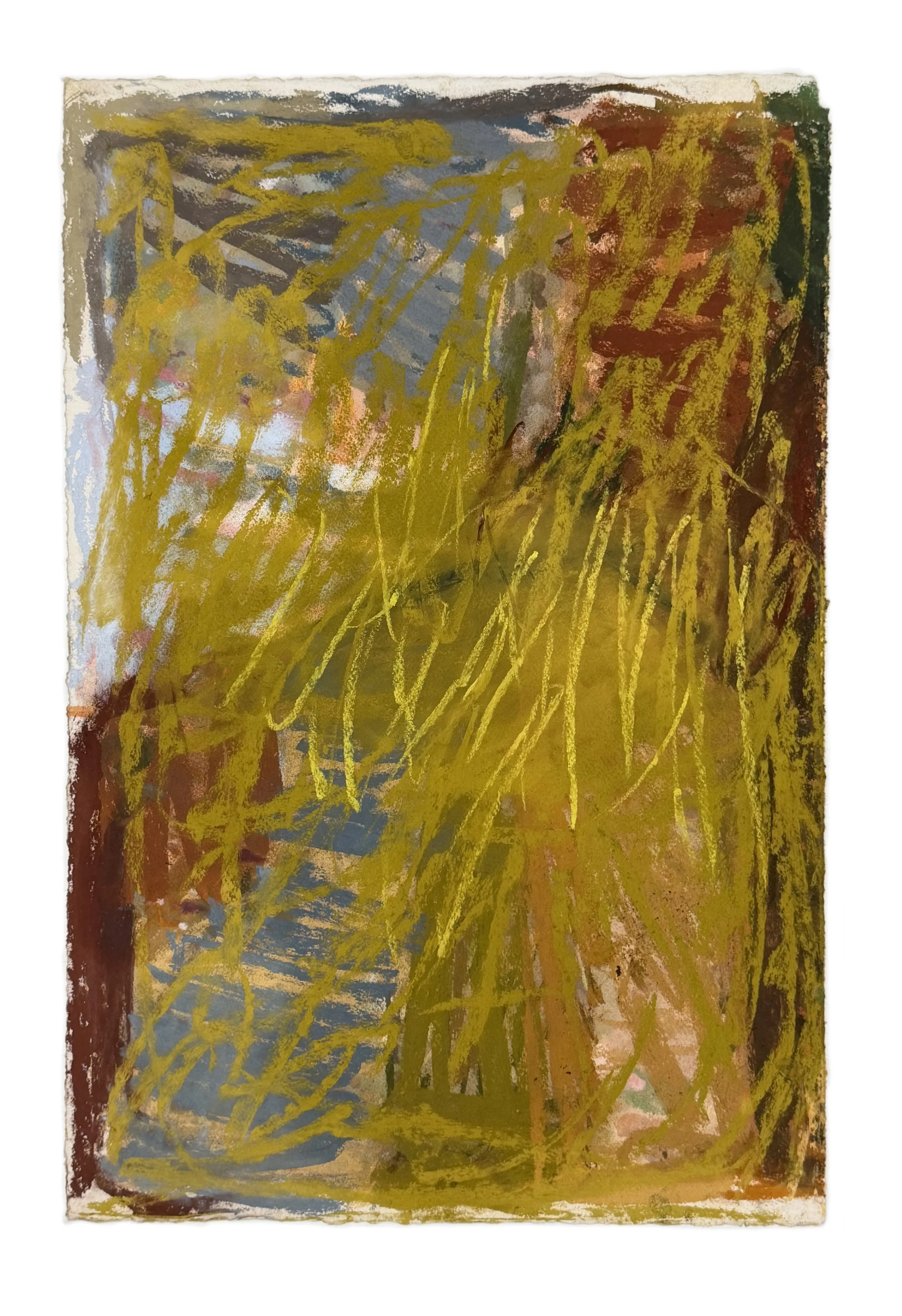 Field Note #8