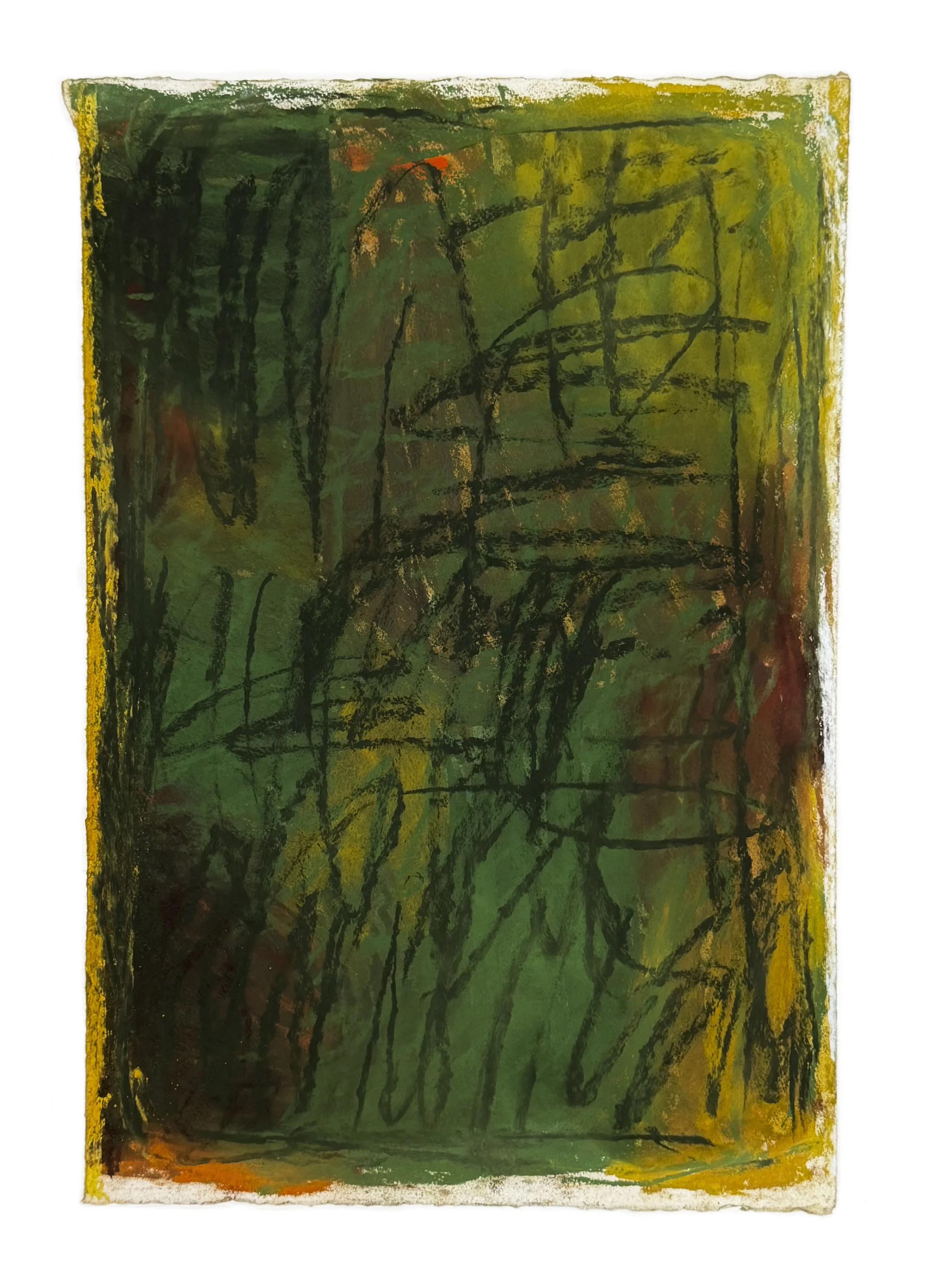 Field Note #11