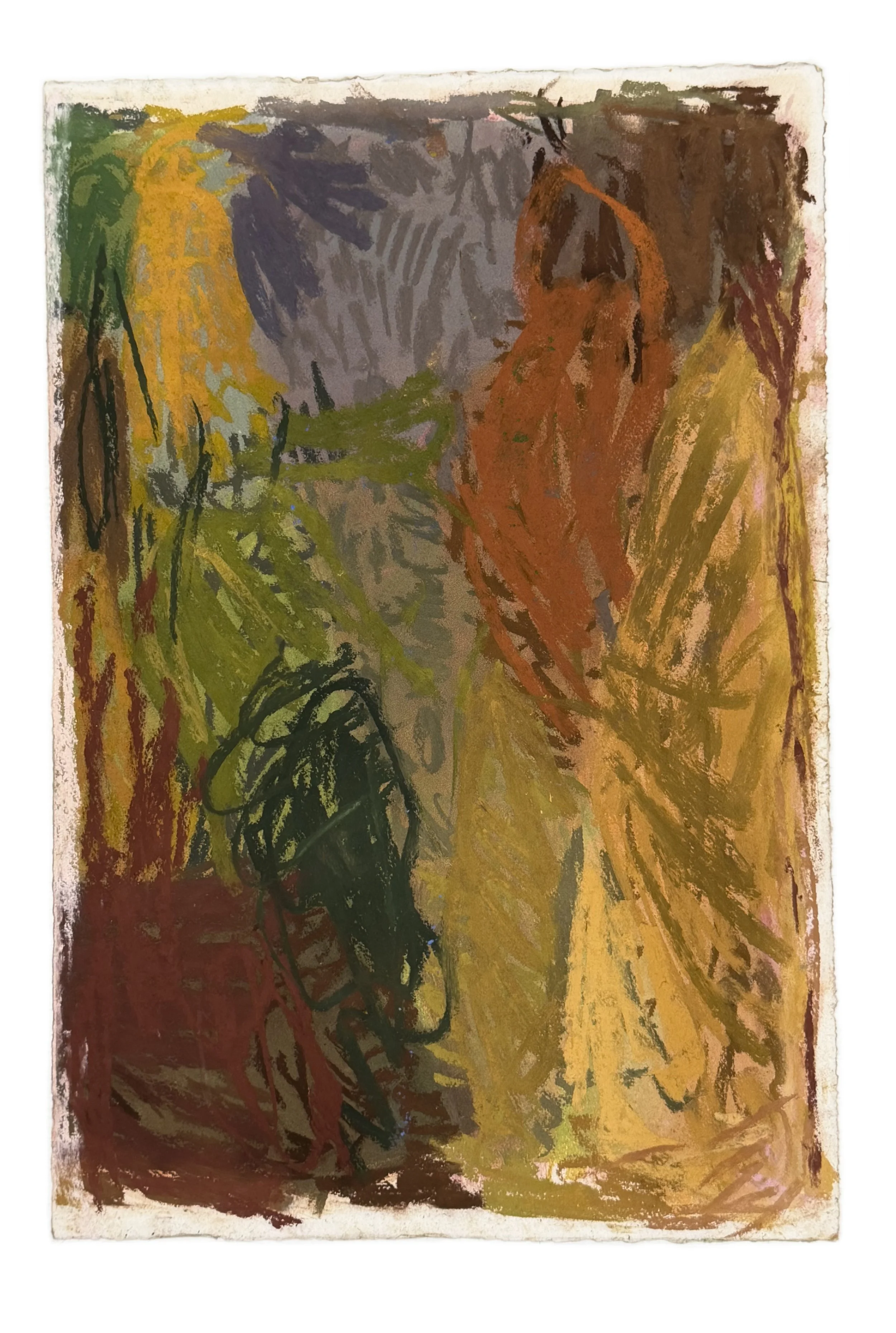 Field Note #12