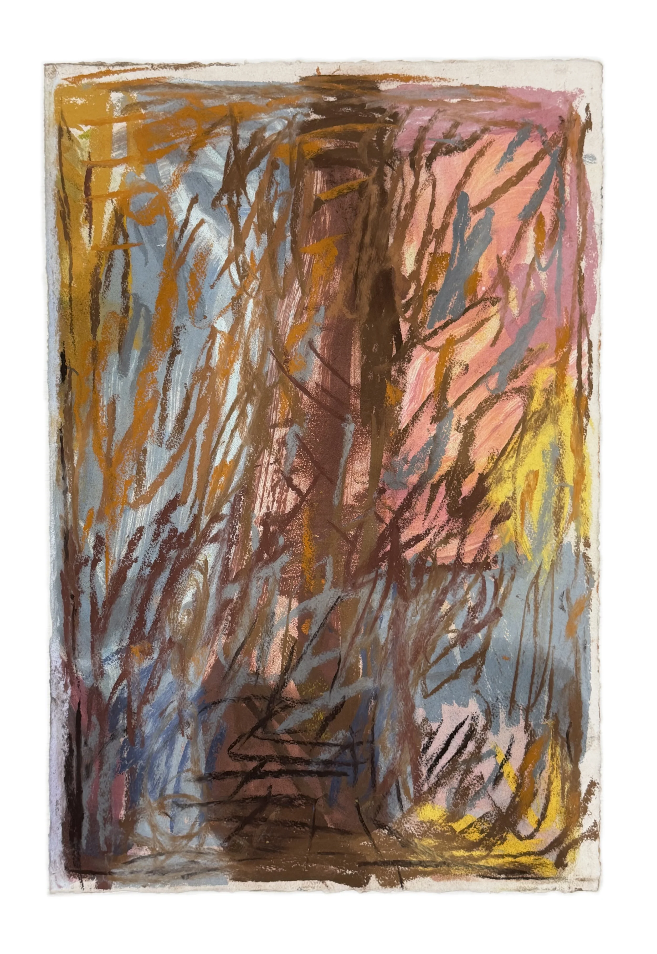 Field Note #13