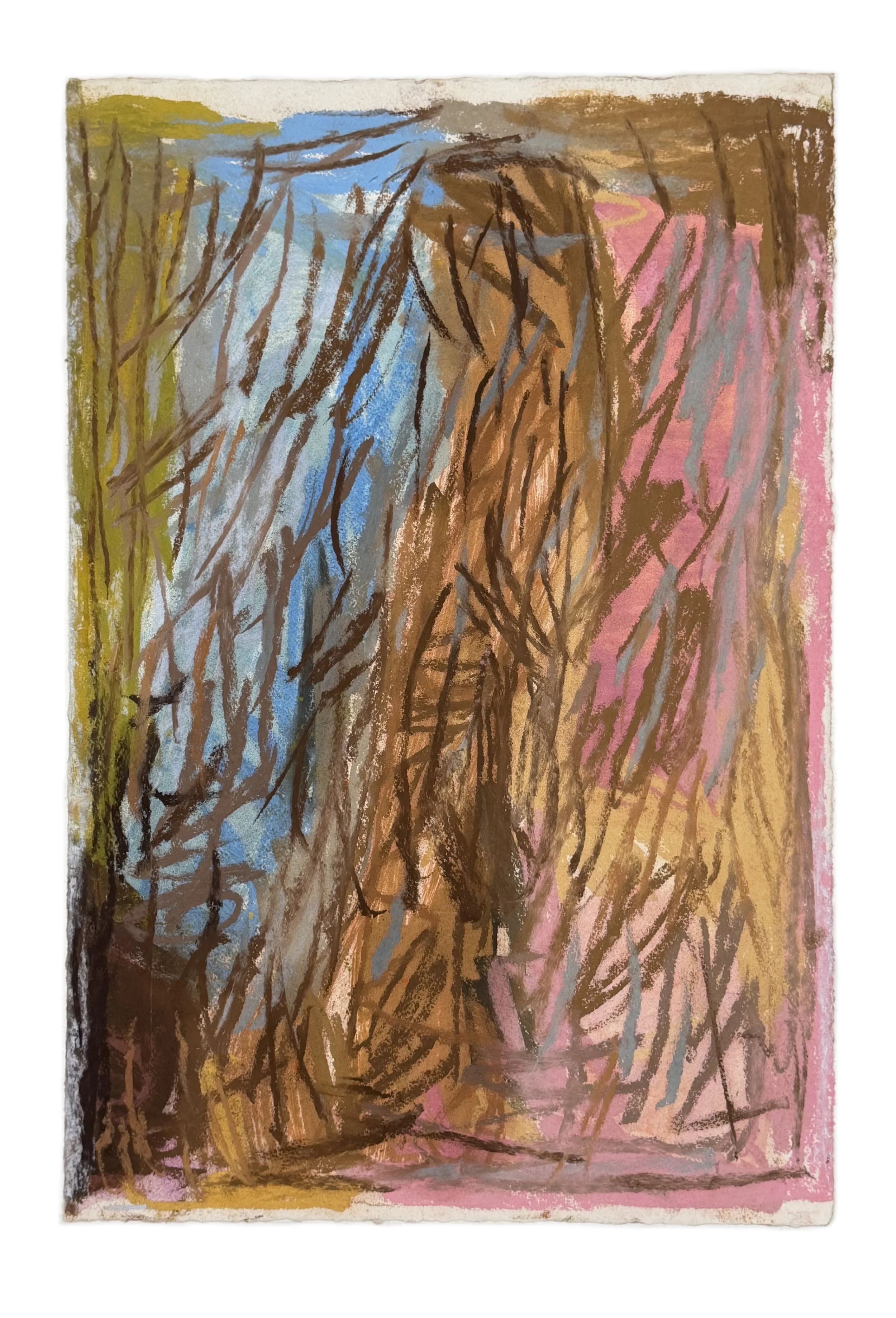 Field Note #14