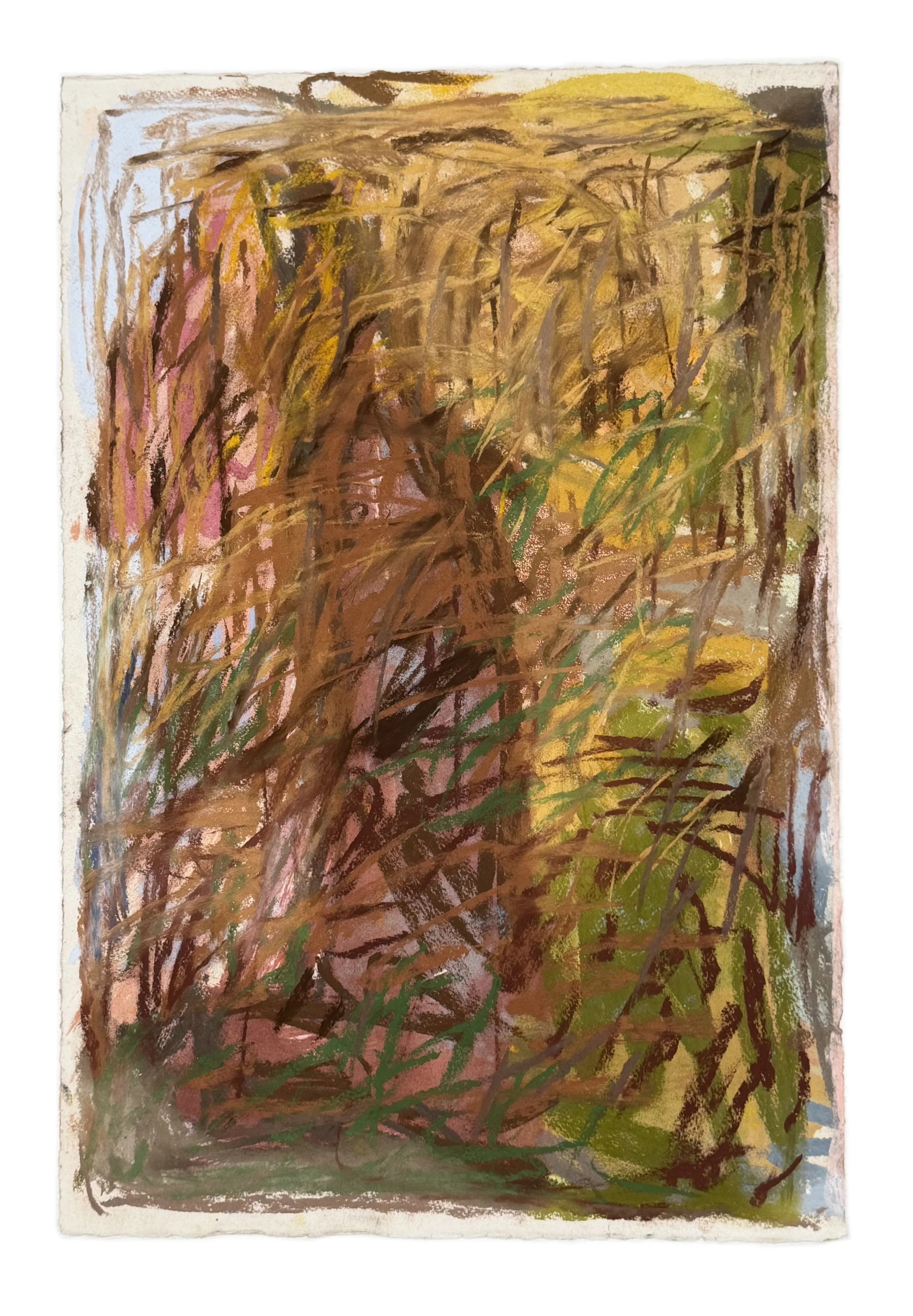 Field Note #15