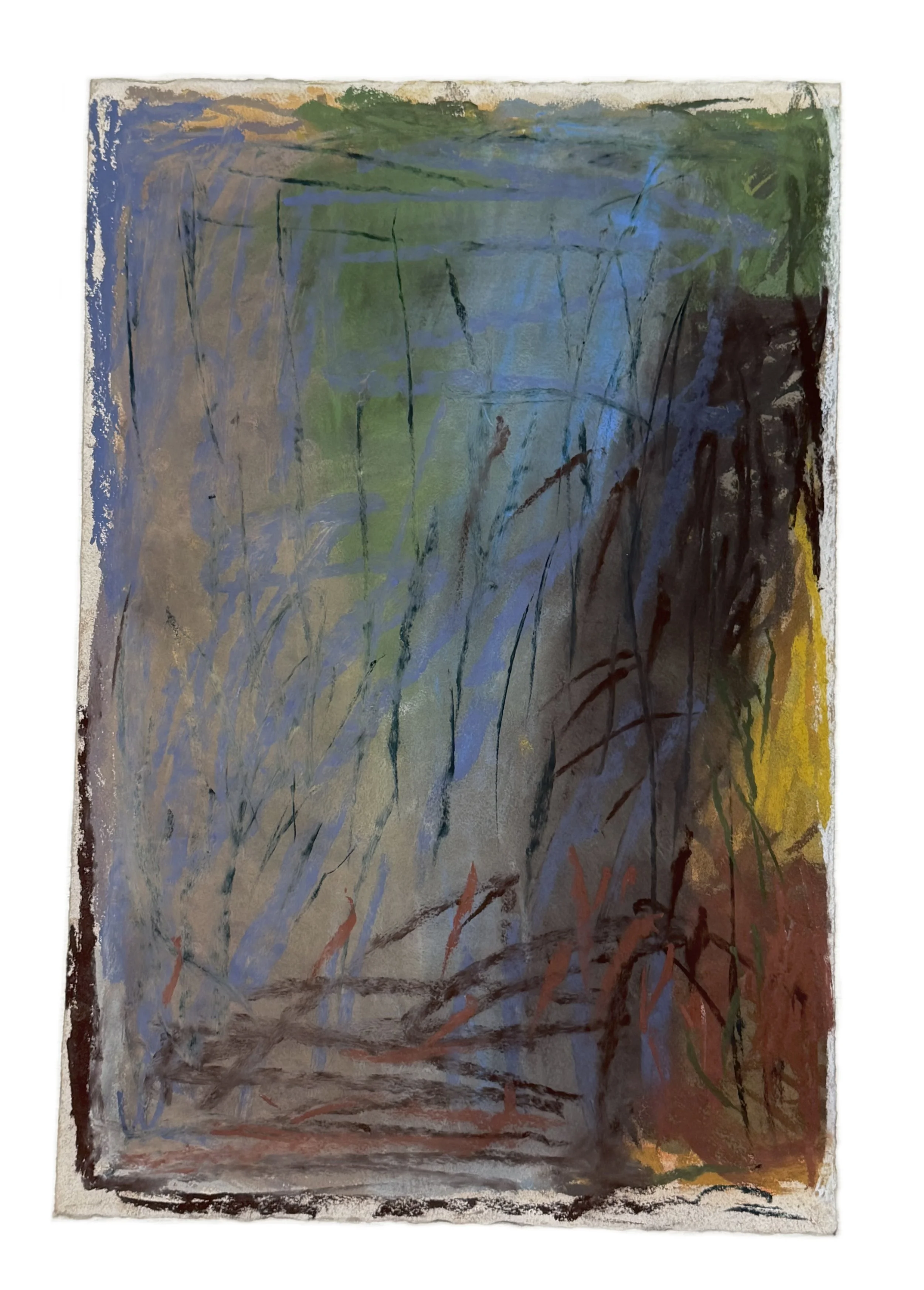 Field Note #16