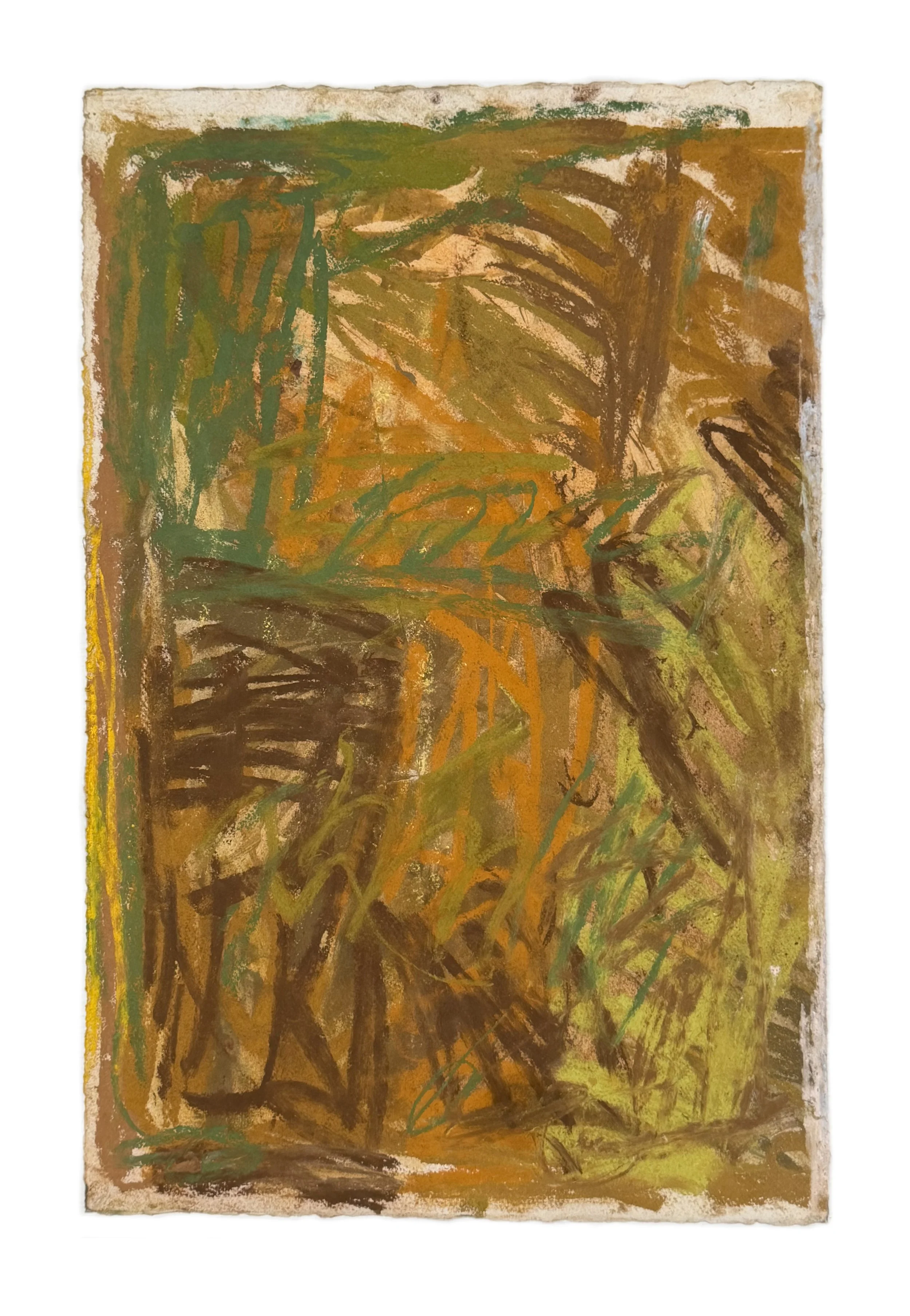Field Note #17