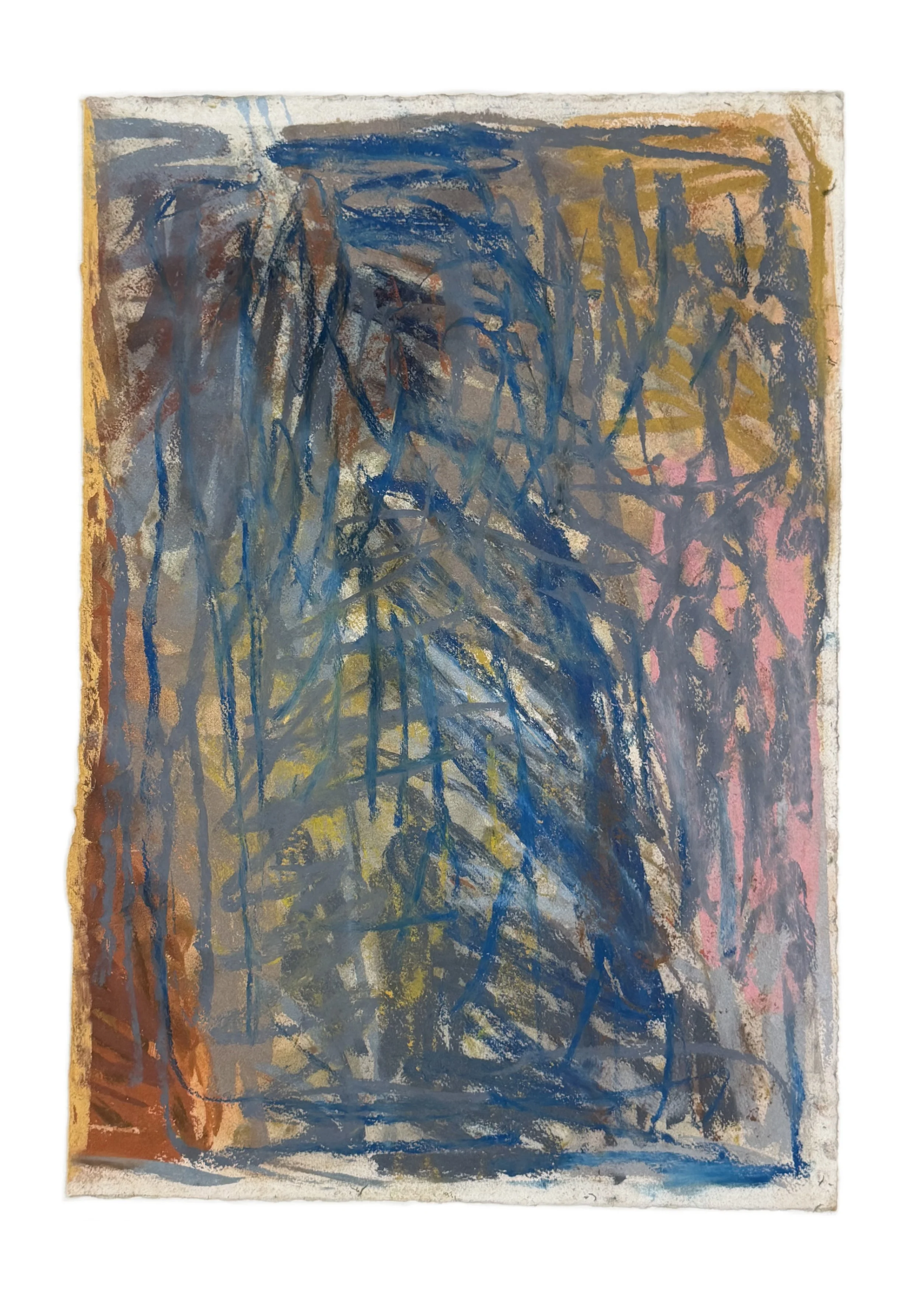 Field Note #19