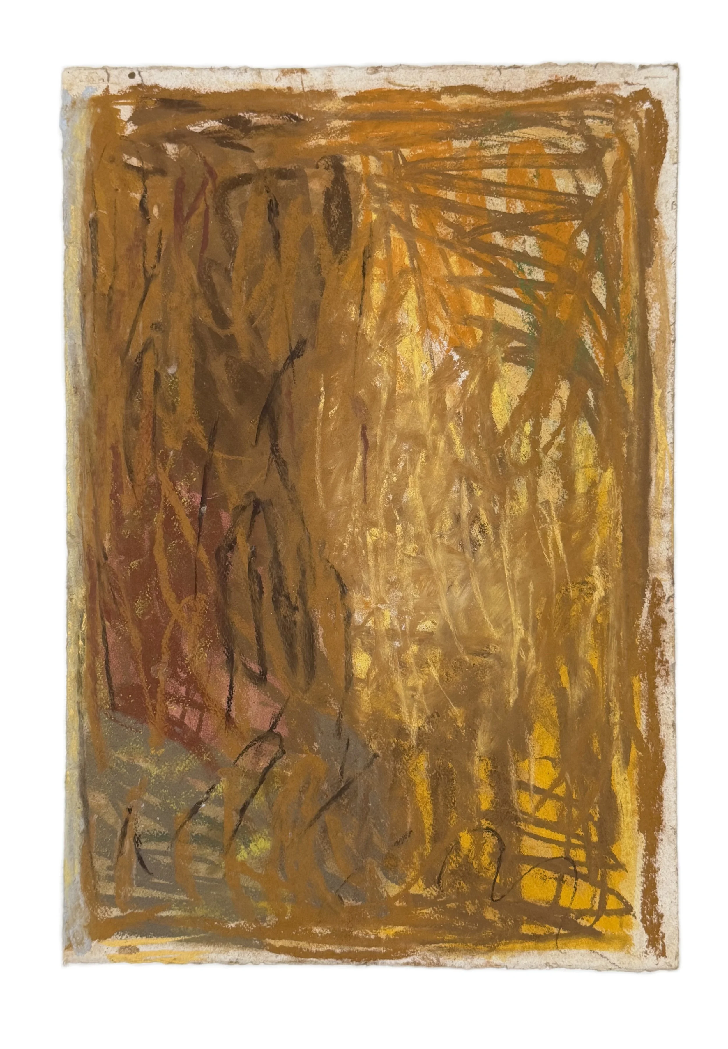 Field Note #20
