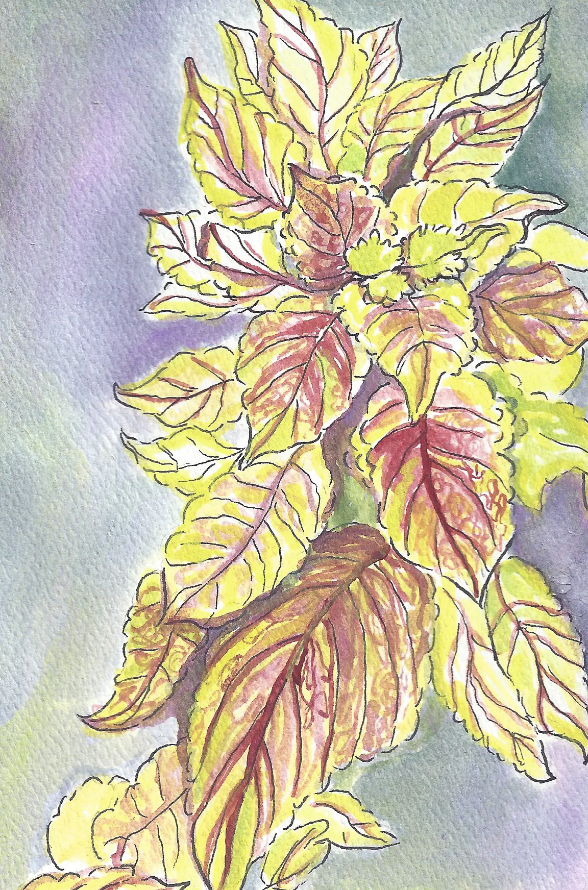 SCAN0089.jpg